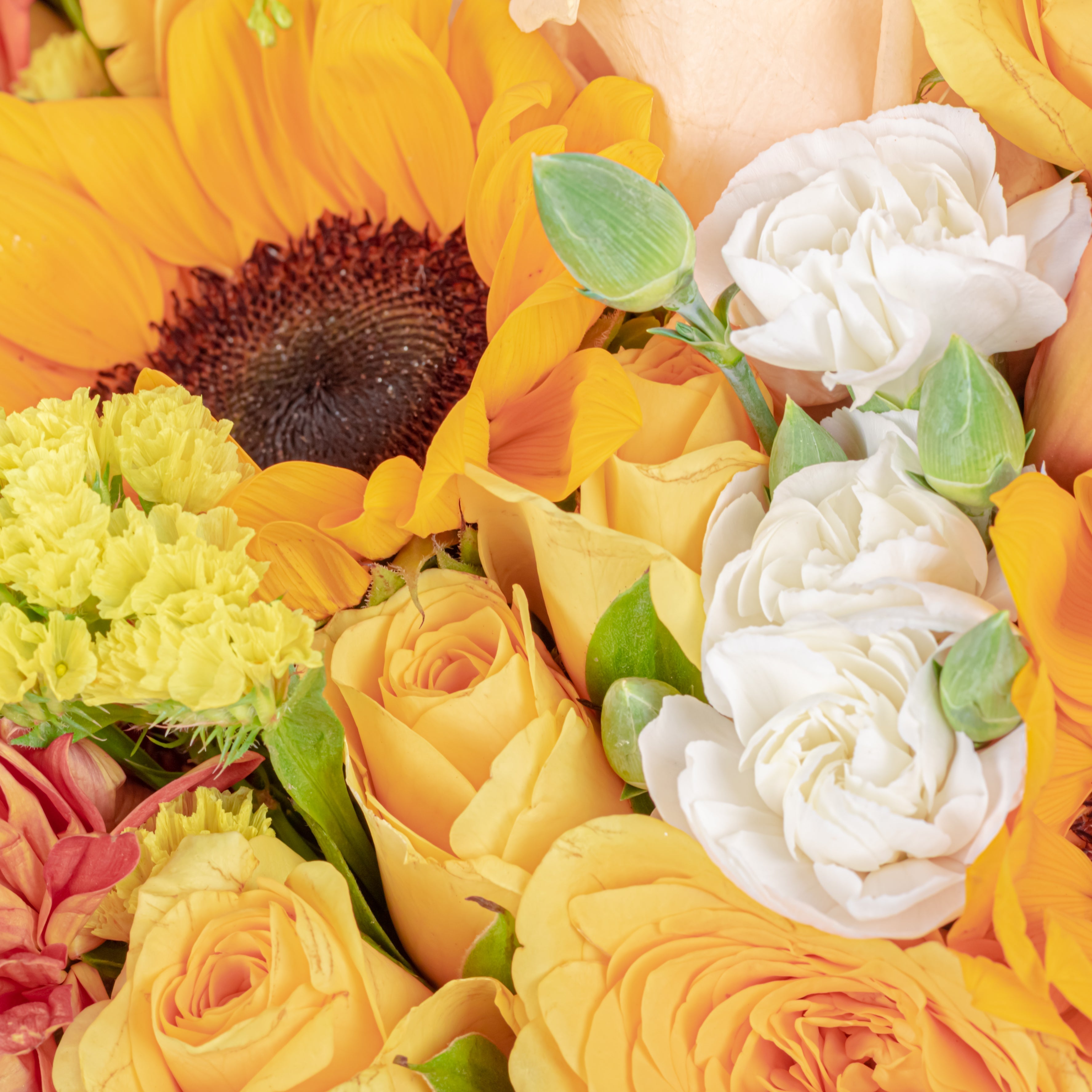 Mother’s Day Gifts