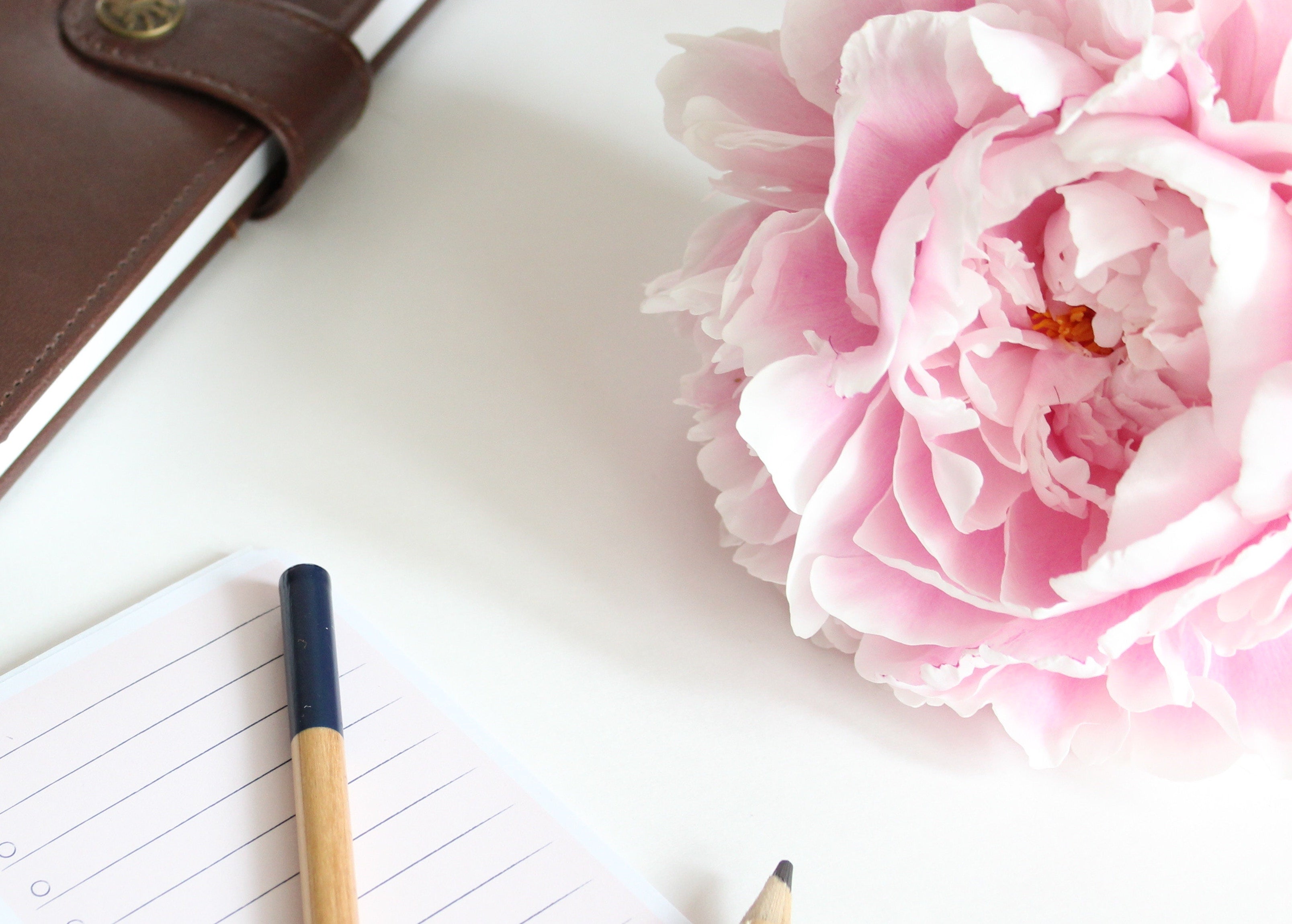 January Birth Flowers