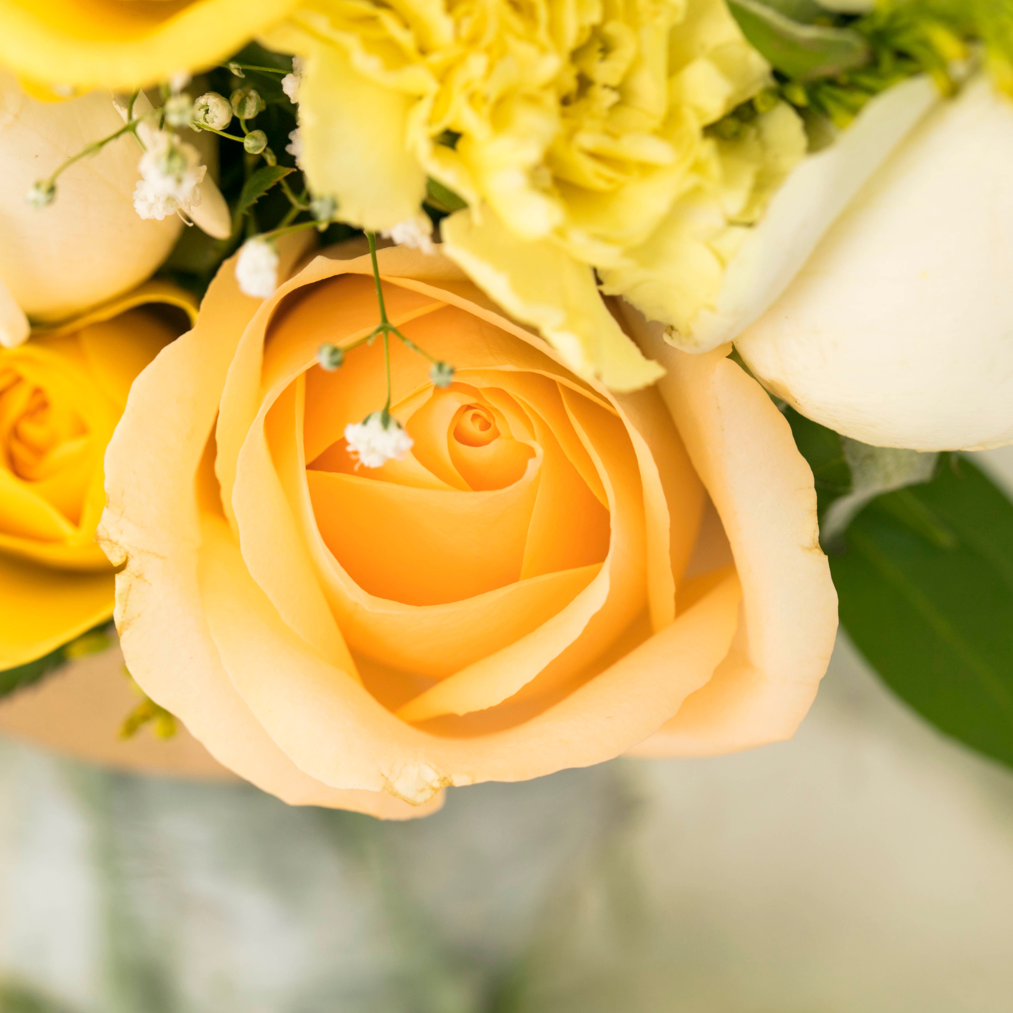 March Birth Flowers