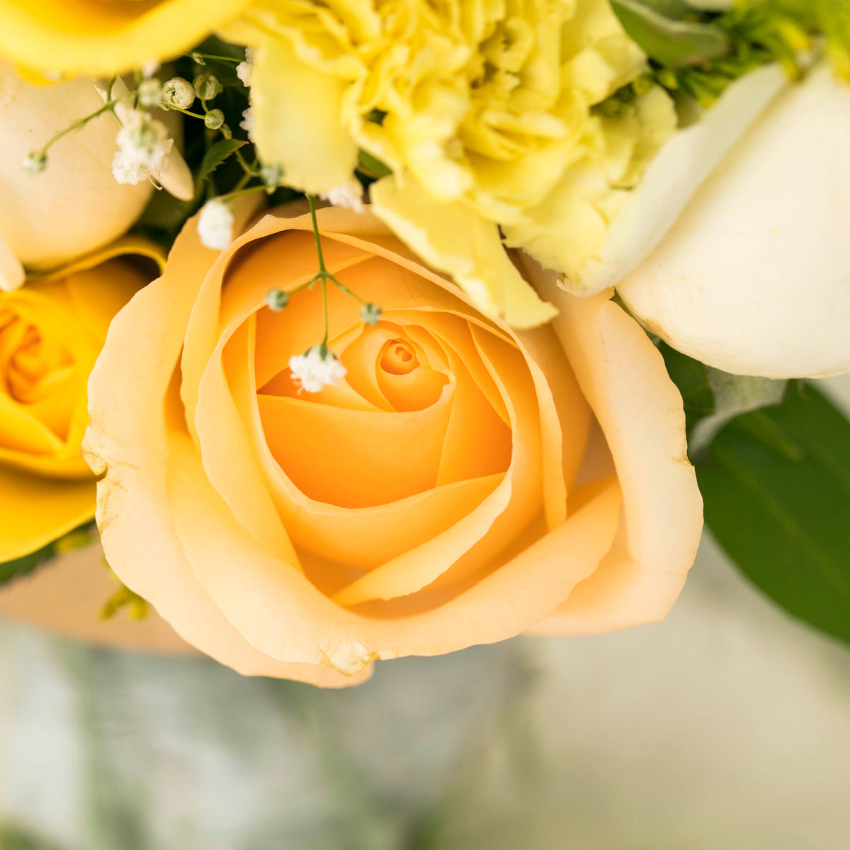 March Birth Flowers