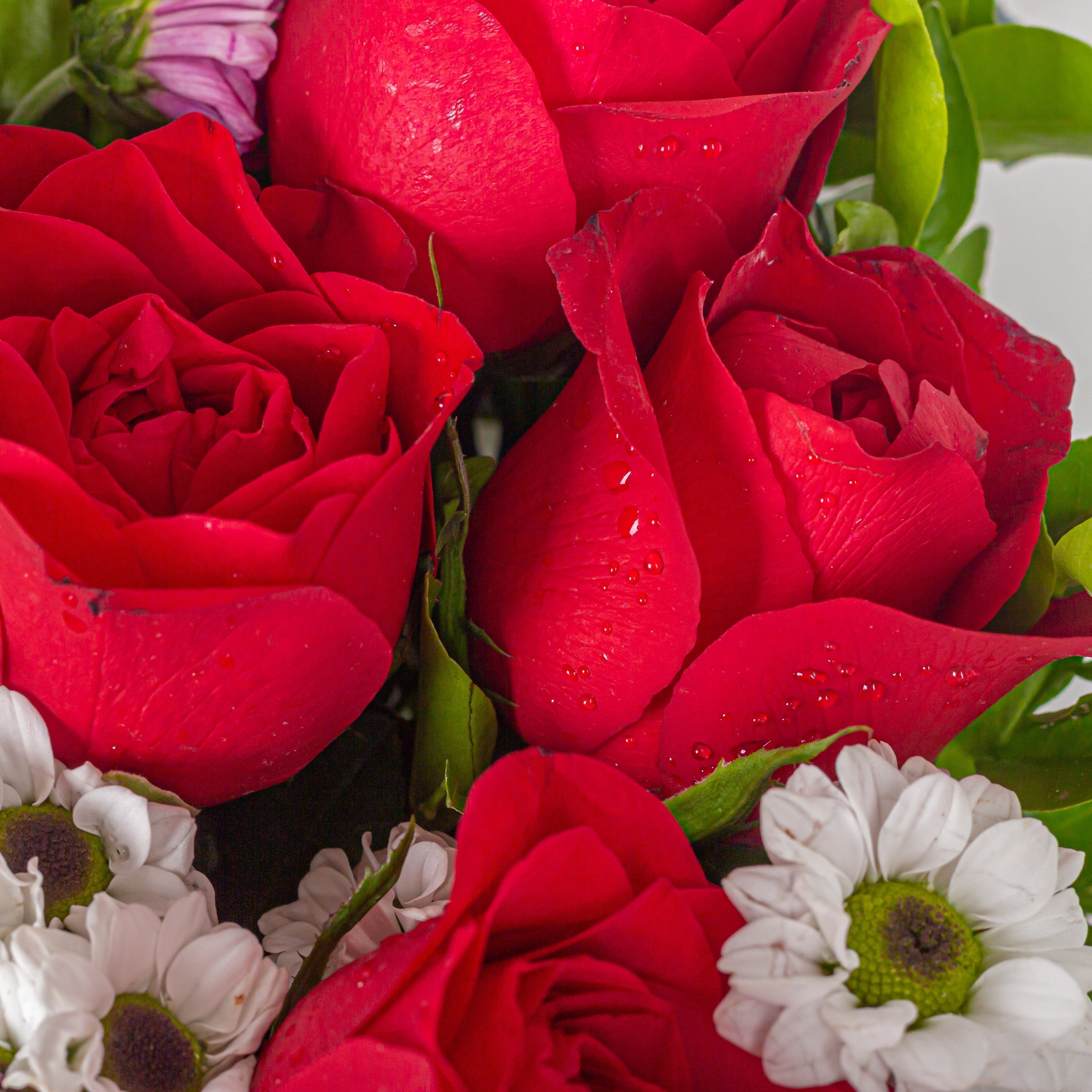December Birth Flowers