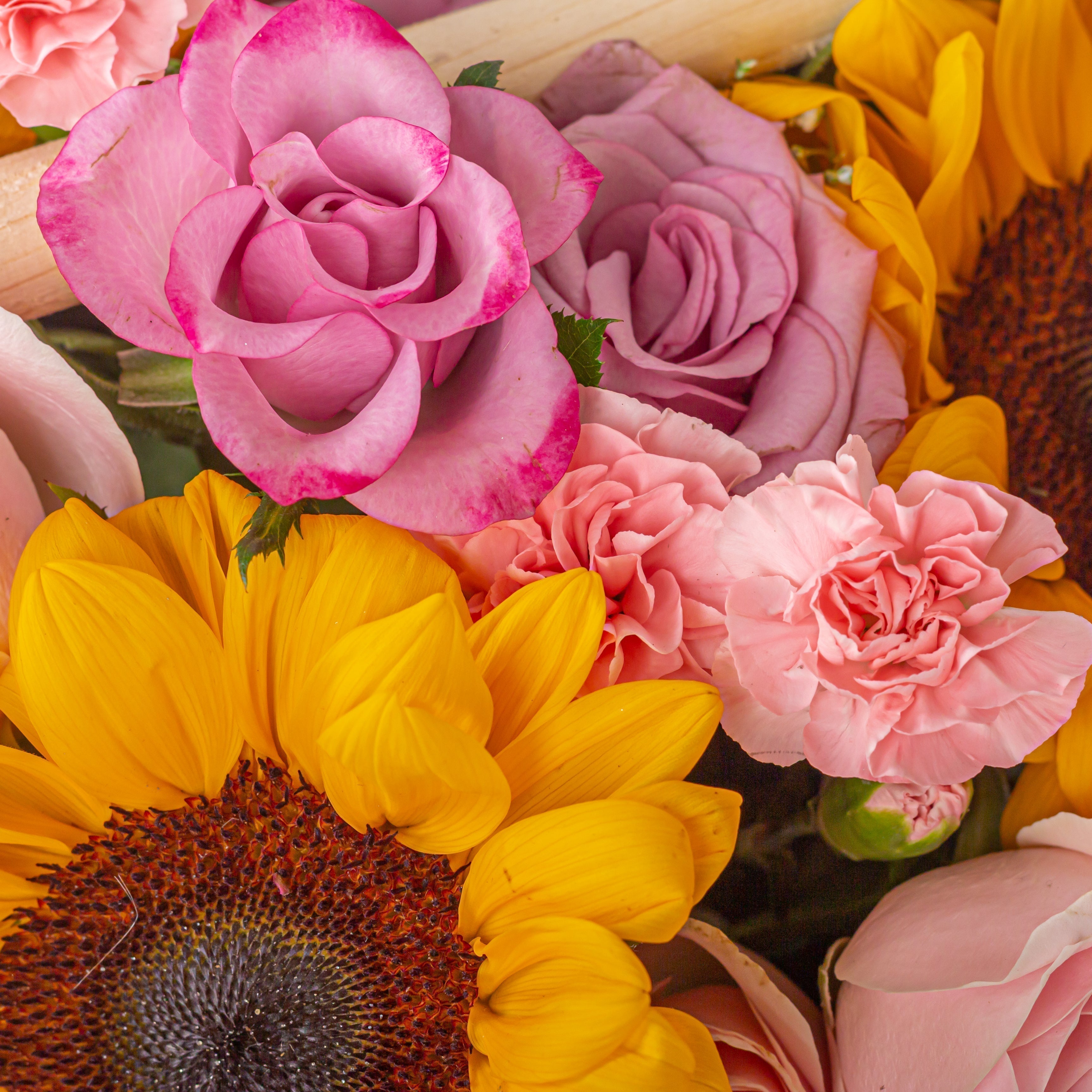 October Birth Flowers: 8 Seasonal Picks For Perfect Gifting