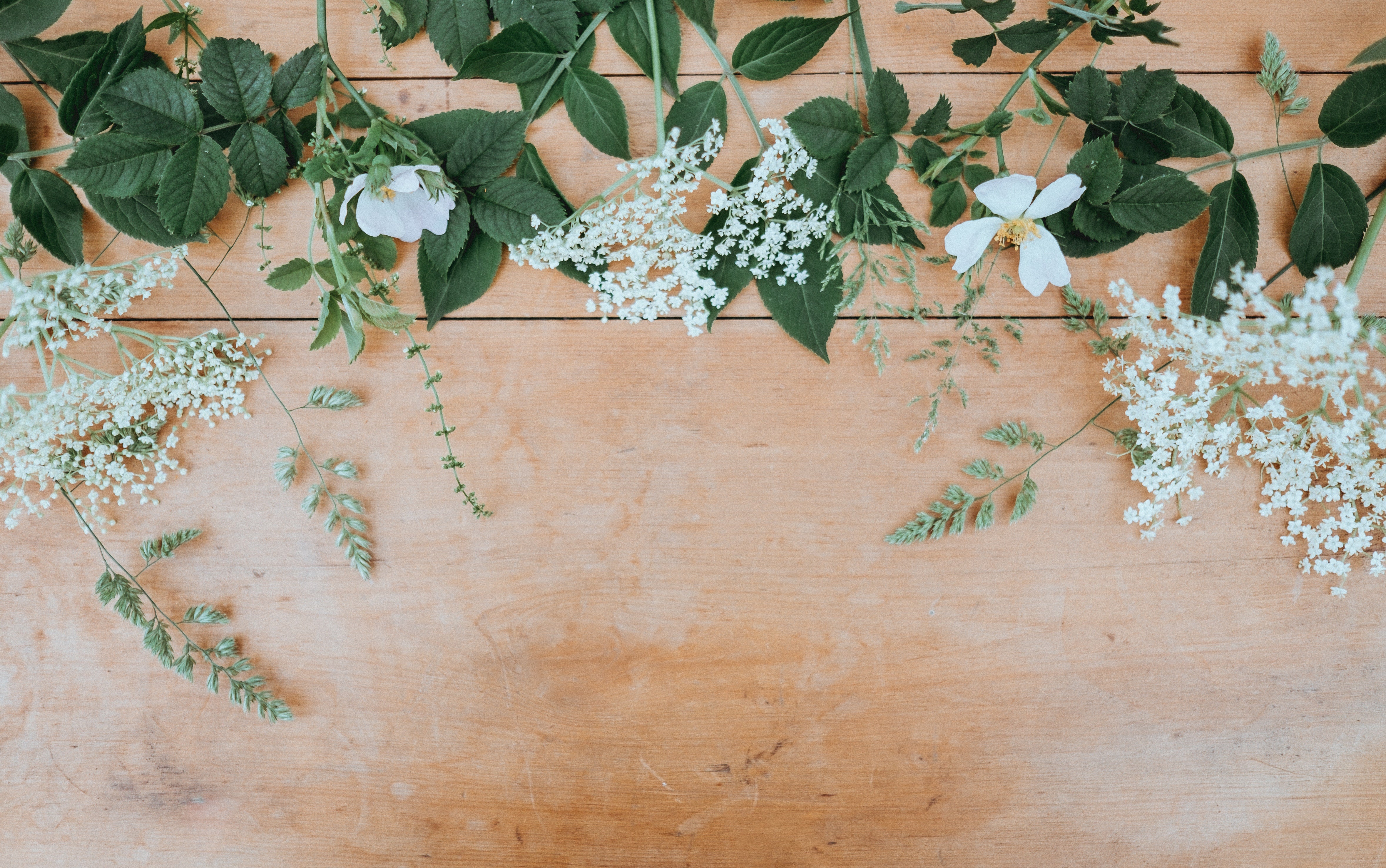 Everything You Wanted To Know About Edible Flowers