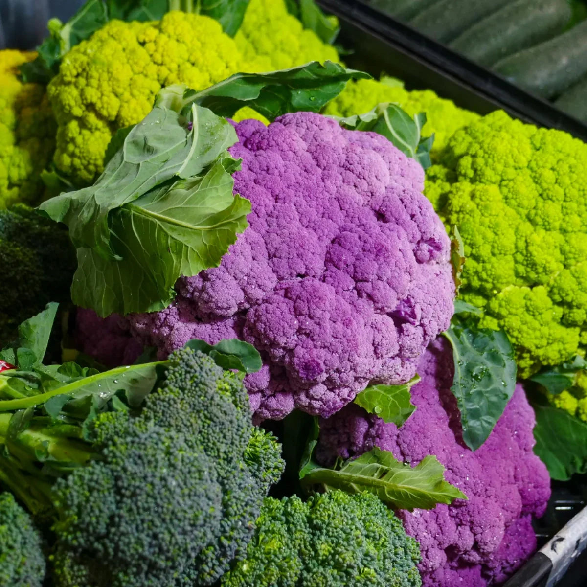 Everything You Wanted To Know About Edible Flowers
