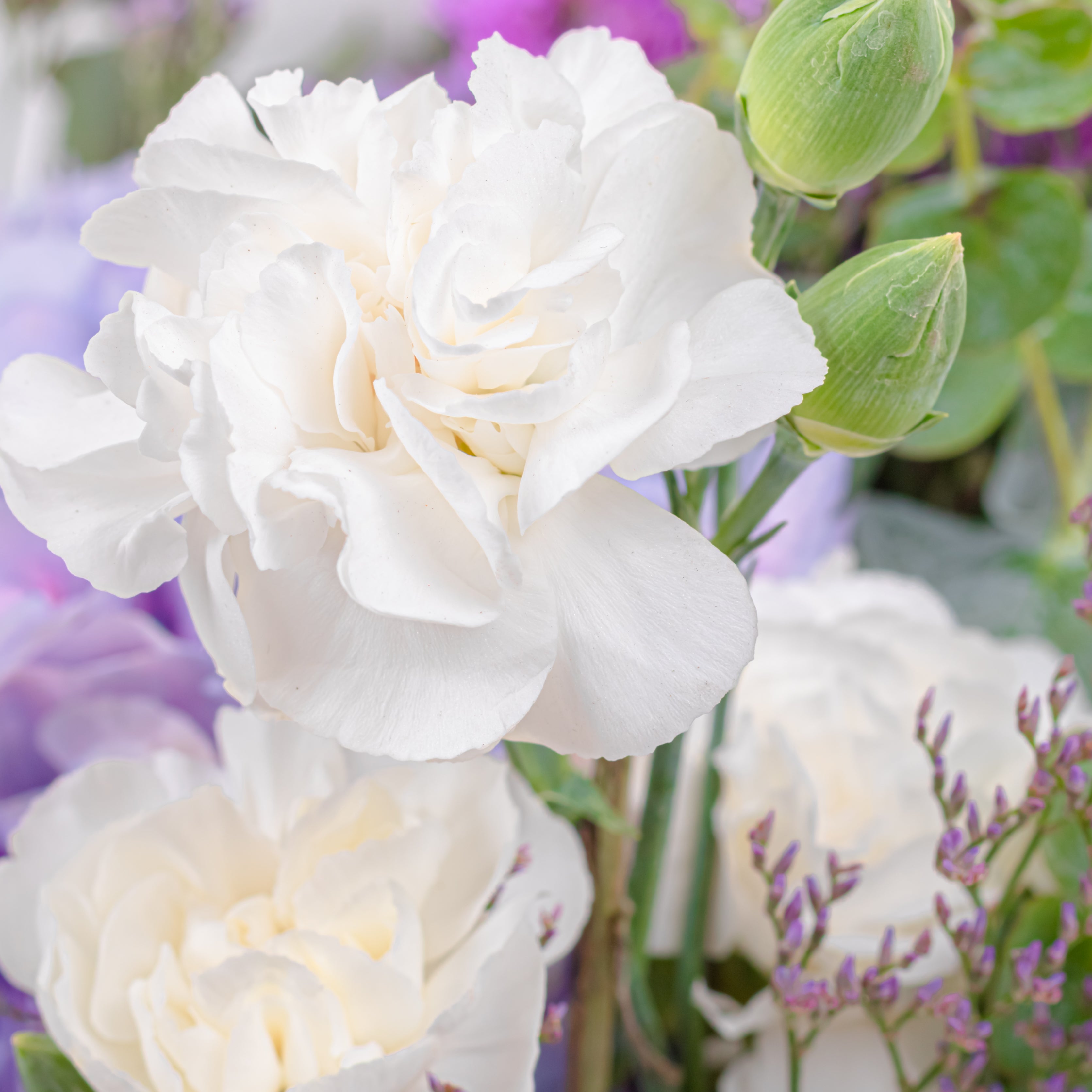 Independence Day Flowers