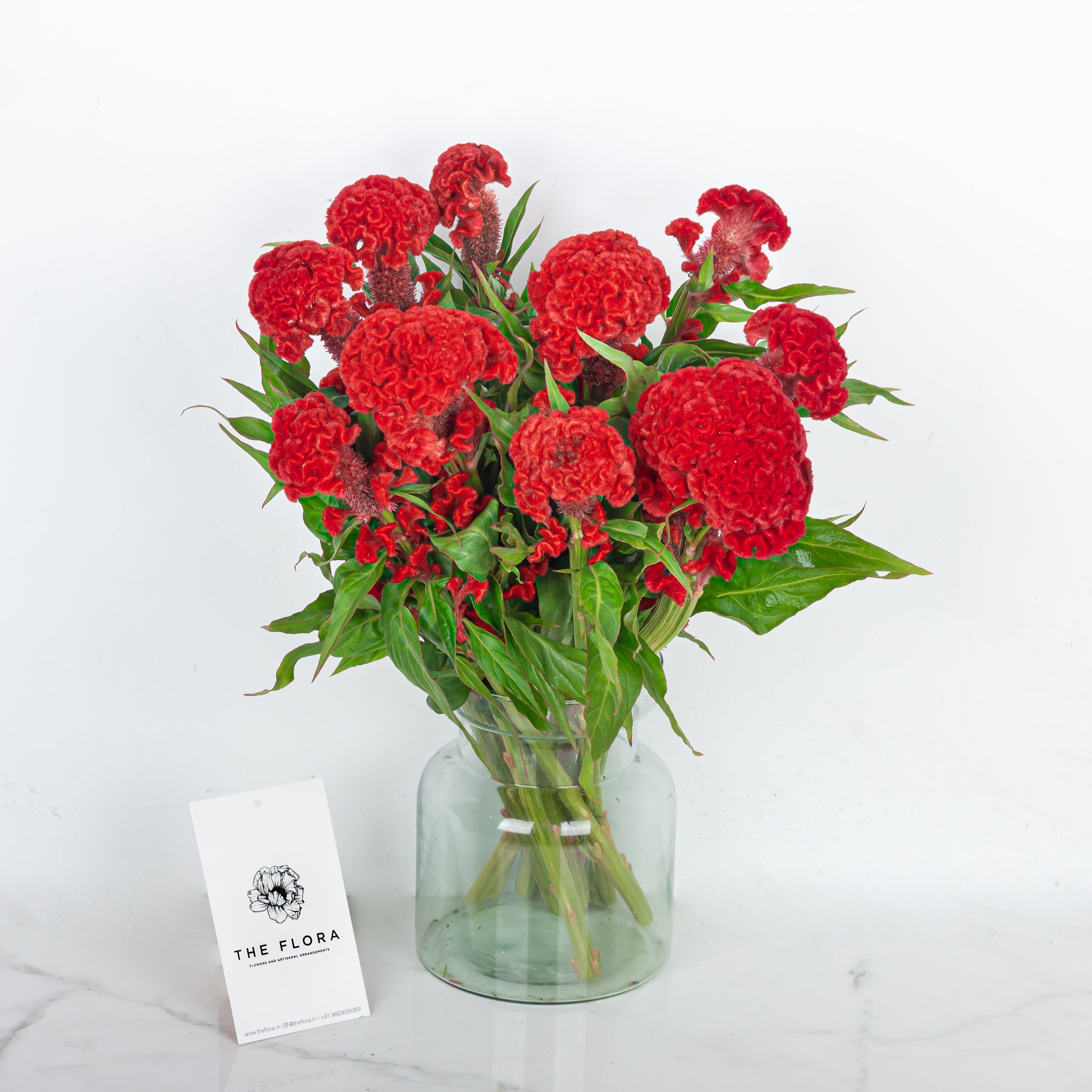 Celosia - Flower Arrangement - Bangalore - The Flora