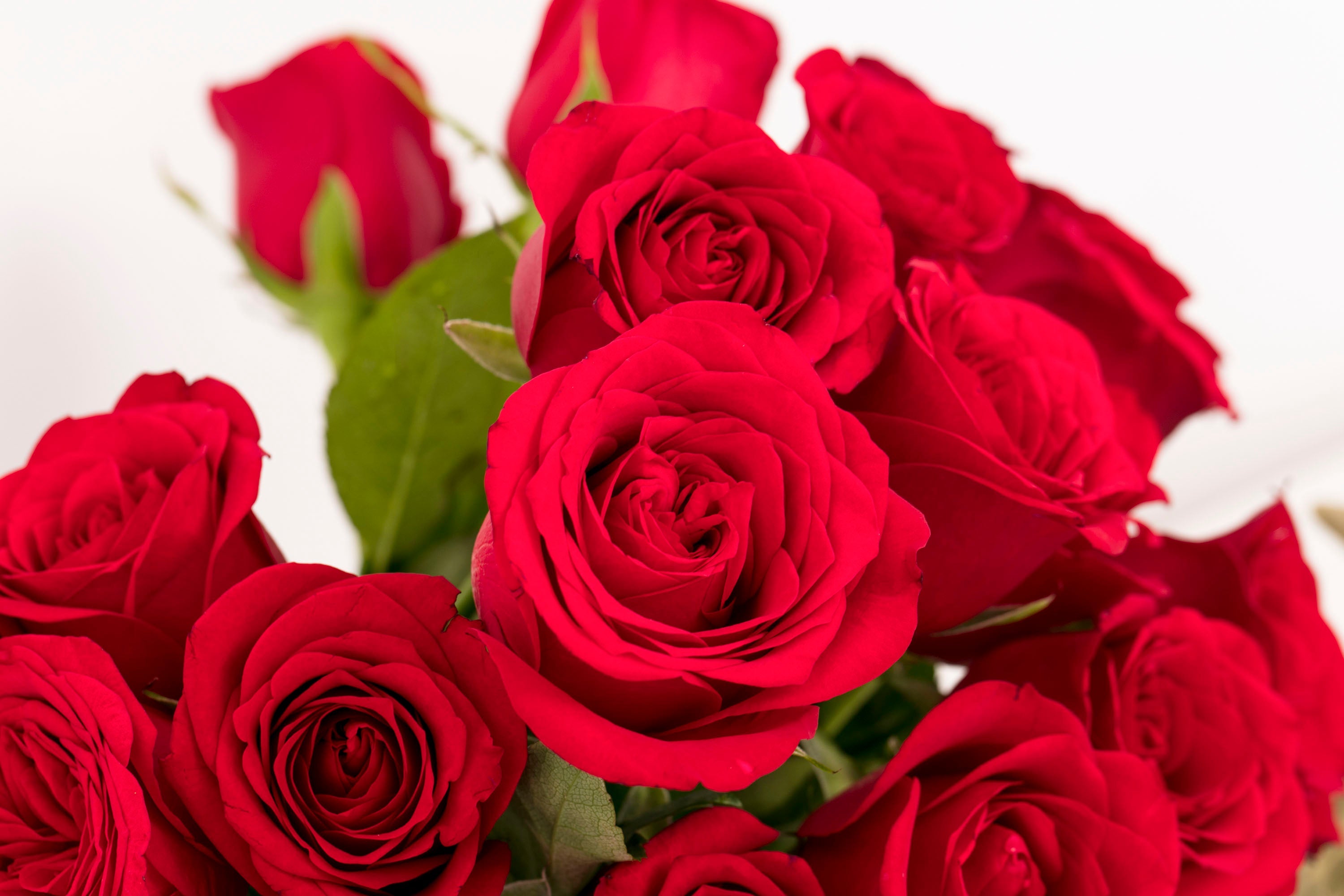 i love you flowers