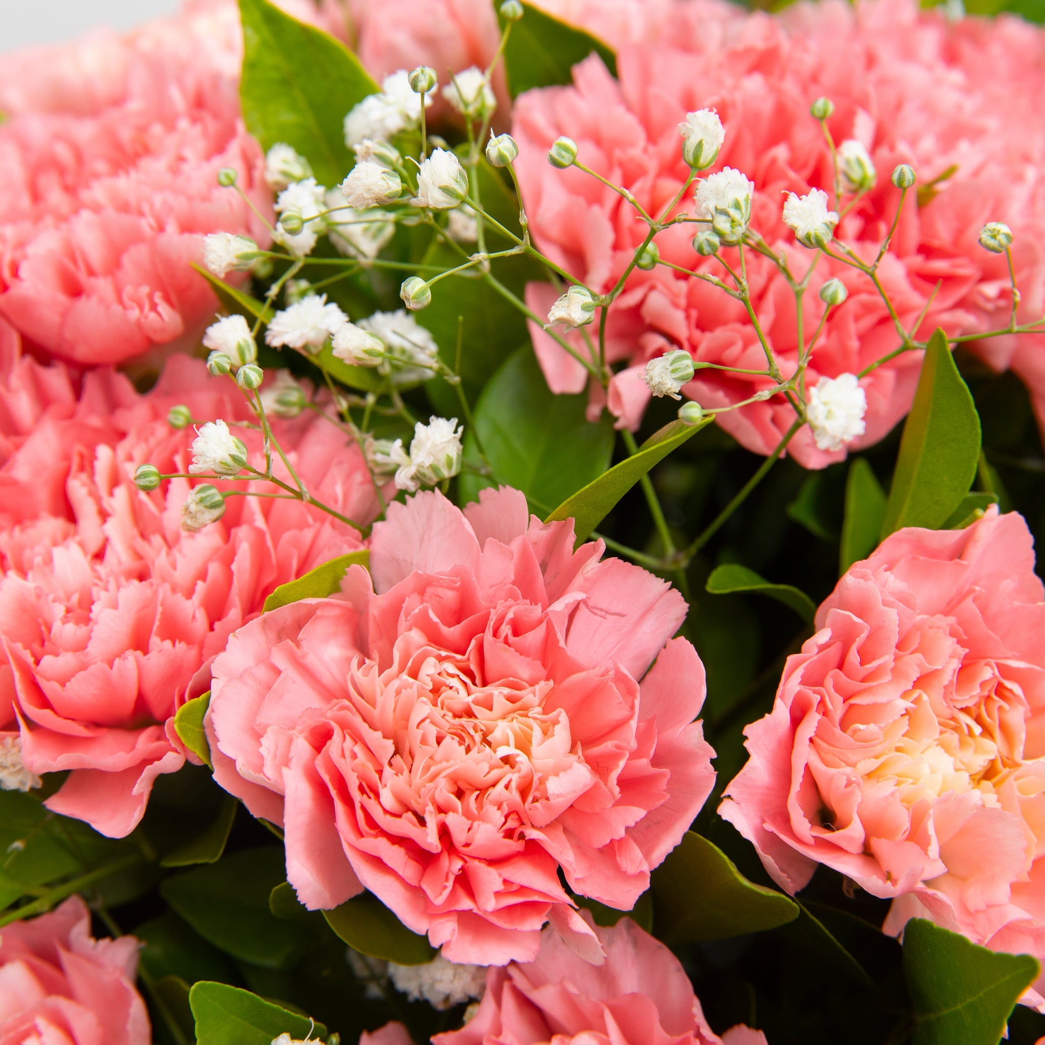 flowers for brother
