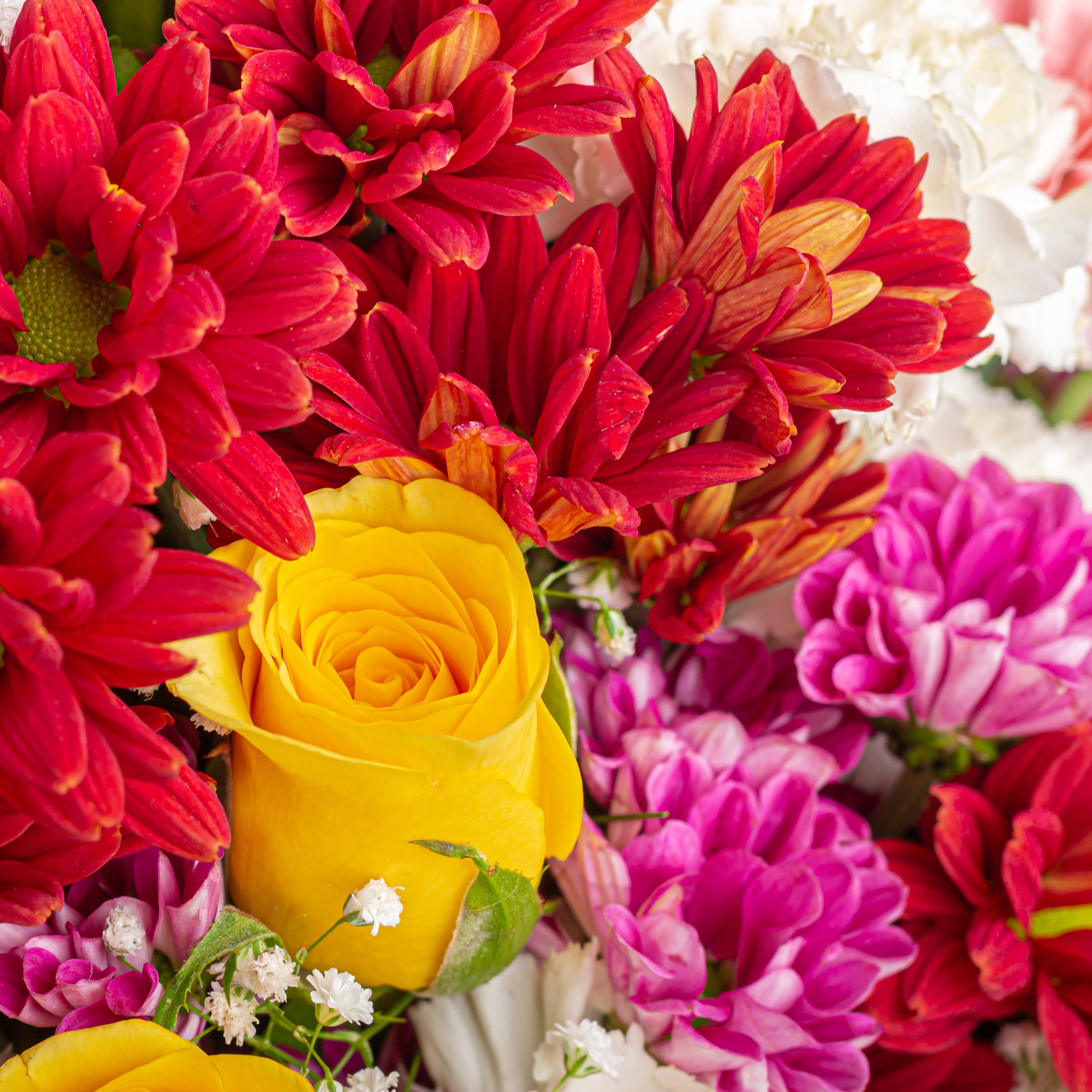 Diwali Gifts For Friends