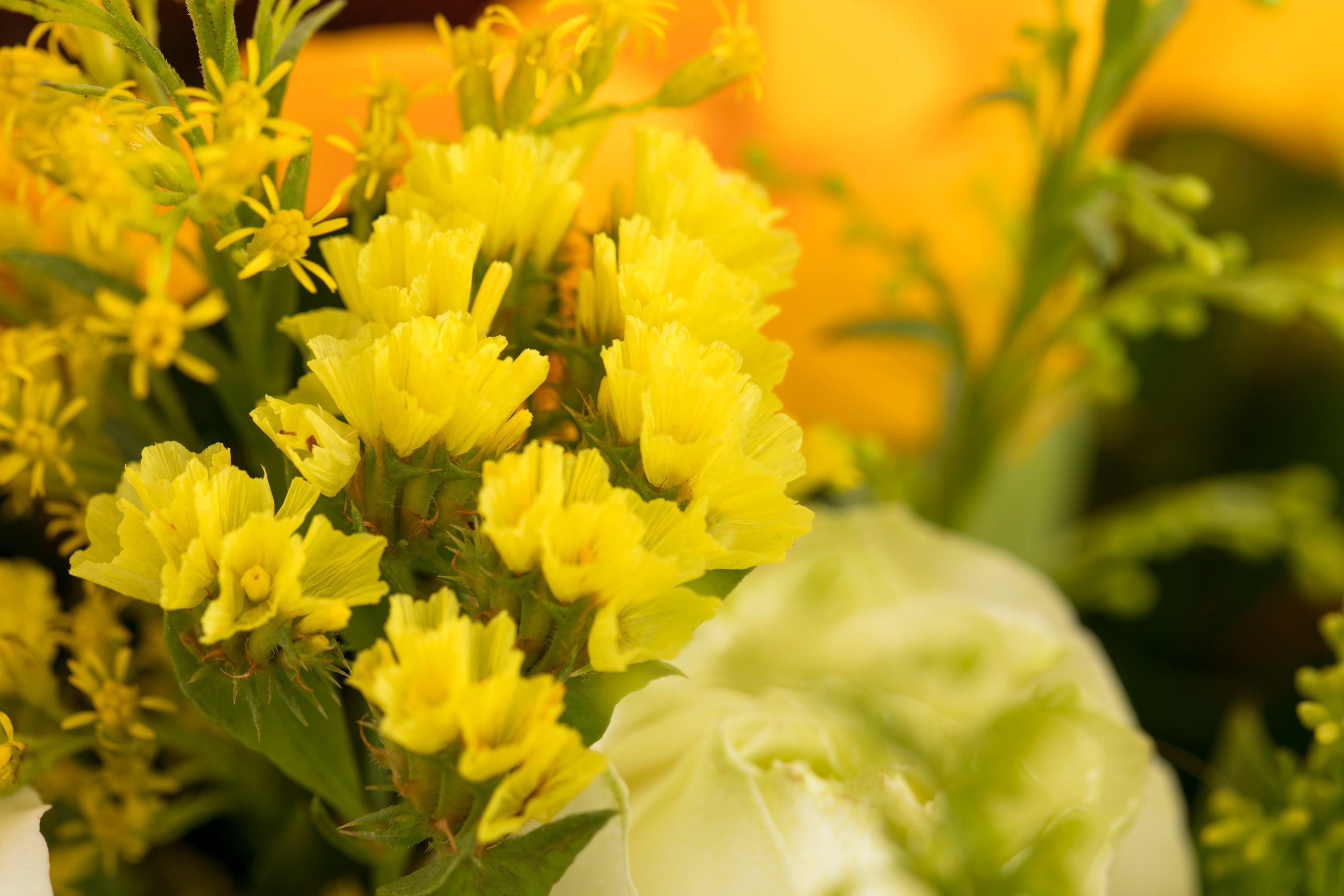 Janmashtami Flowers – Decorate Your Home With Fresh Blooms