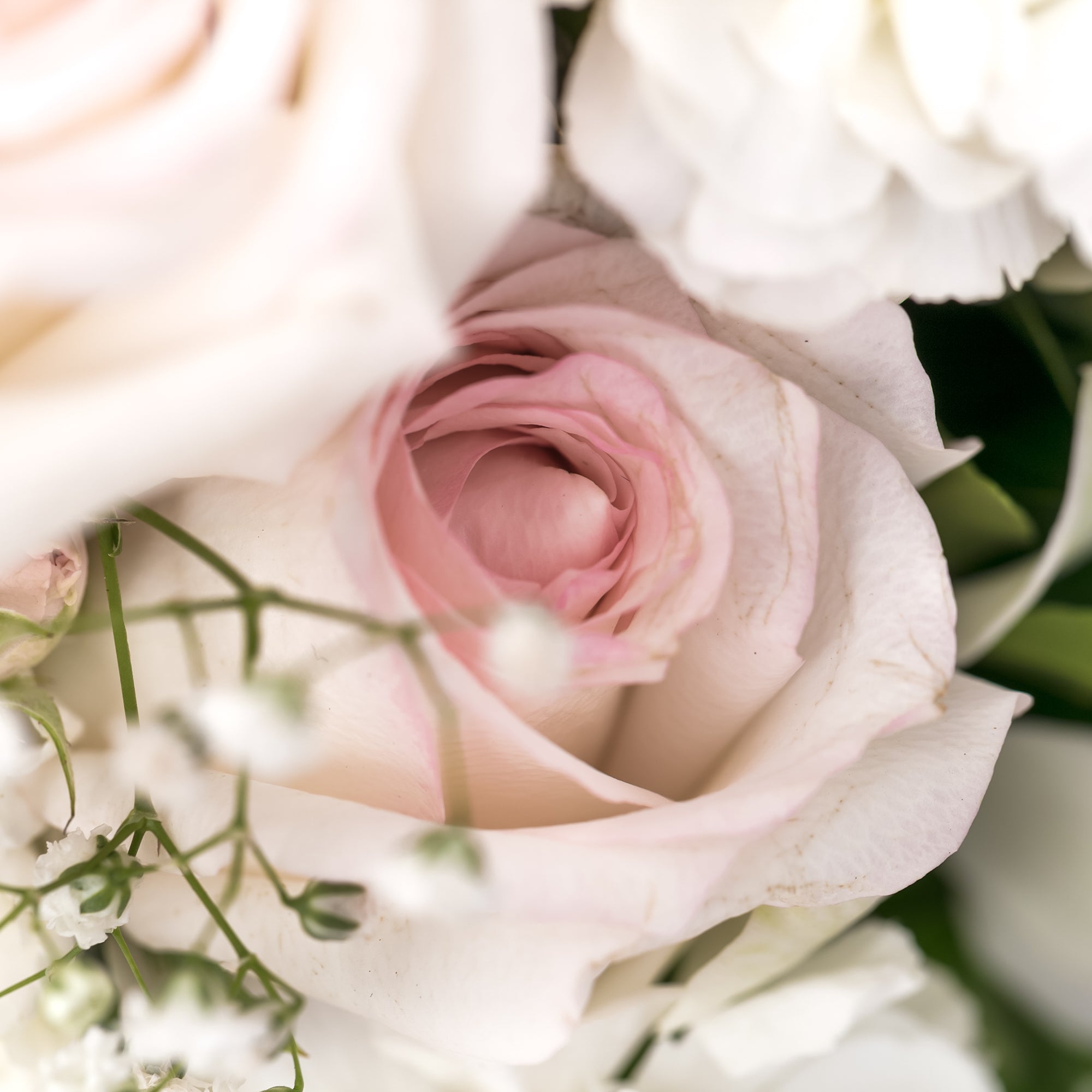 Flowers For Sister
