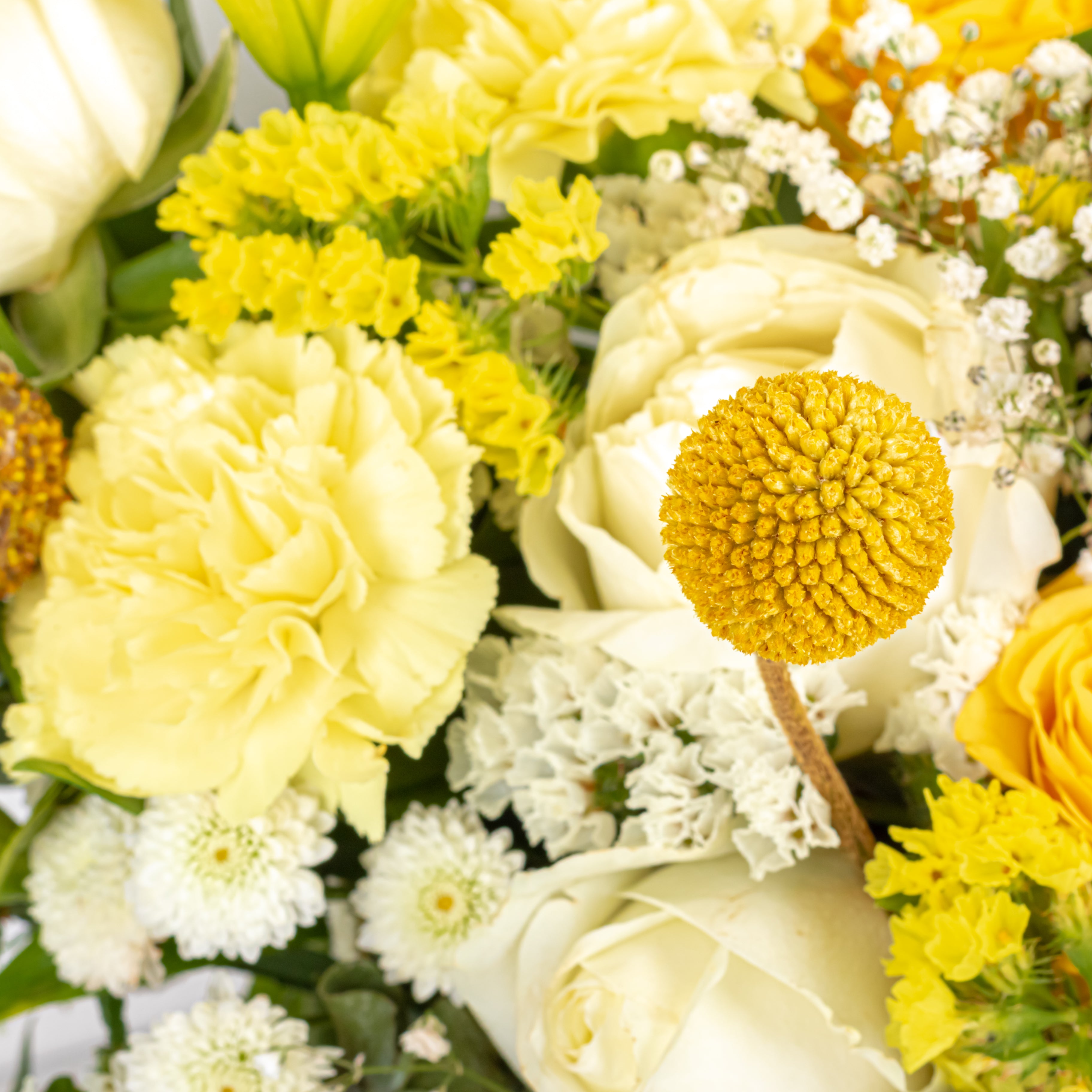 Moment of Joy: Mother's Day Special floral pot arrangement with Scroll Message & Twin Chocolates
