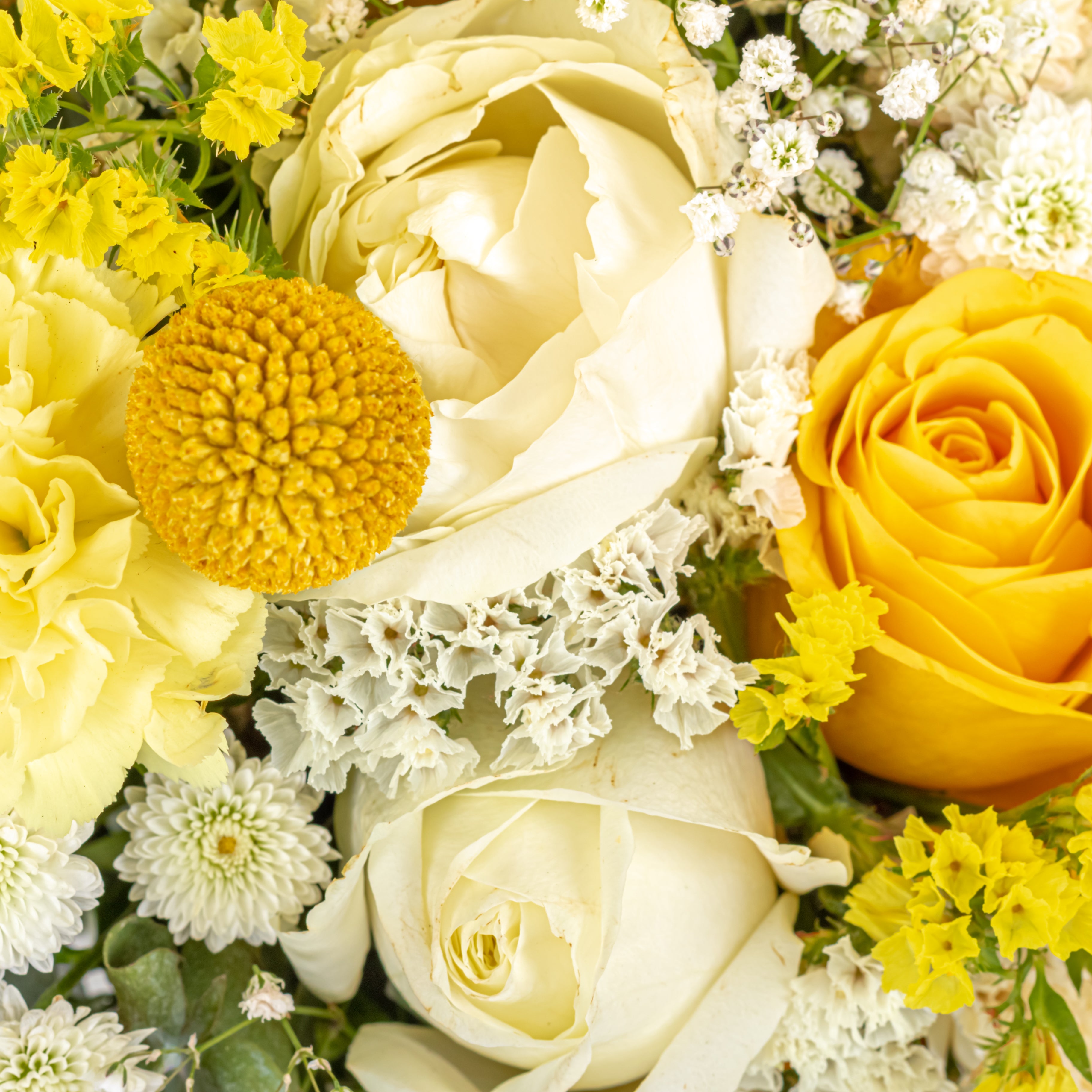Moment of Joy: Mother's Day Special floral pot arrangement with Scroll Message & Twin Chocolates