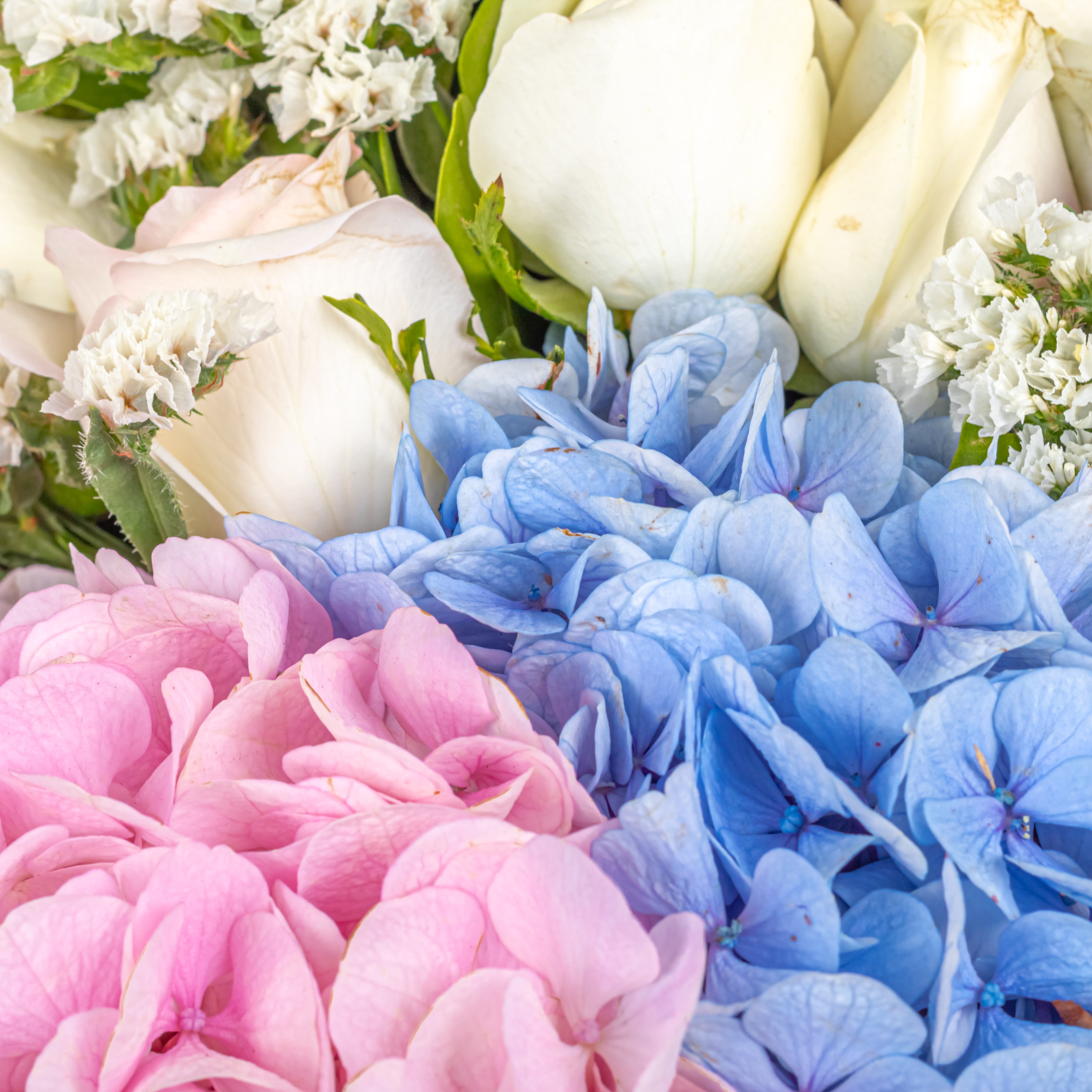 Gratitude Garden: Mother's Day Special Bouquet with Scroll Message & Twin Chocolates