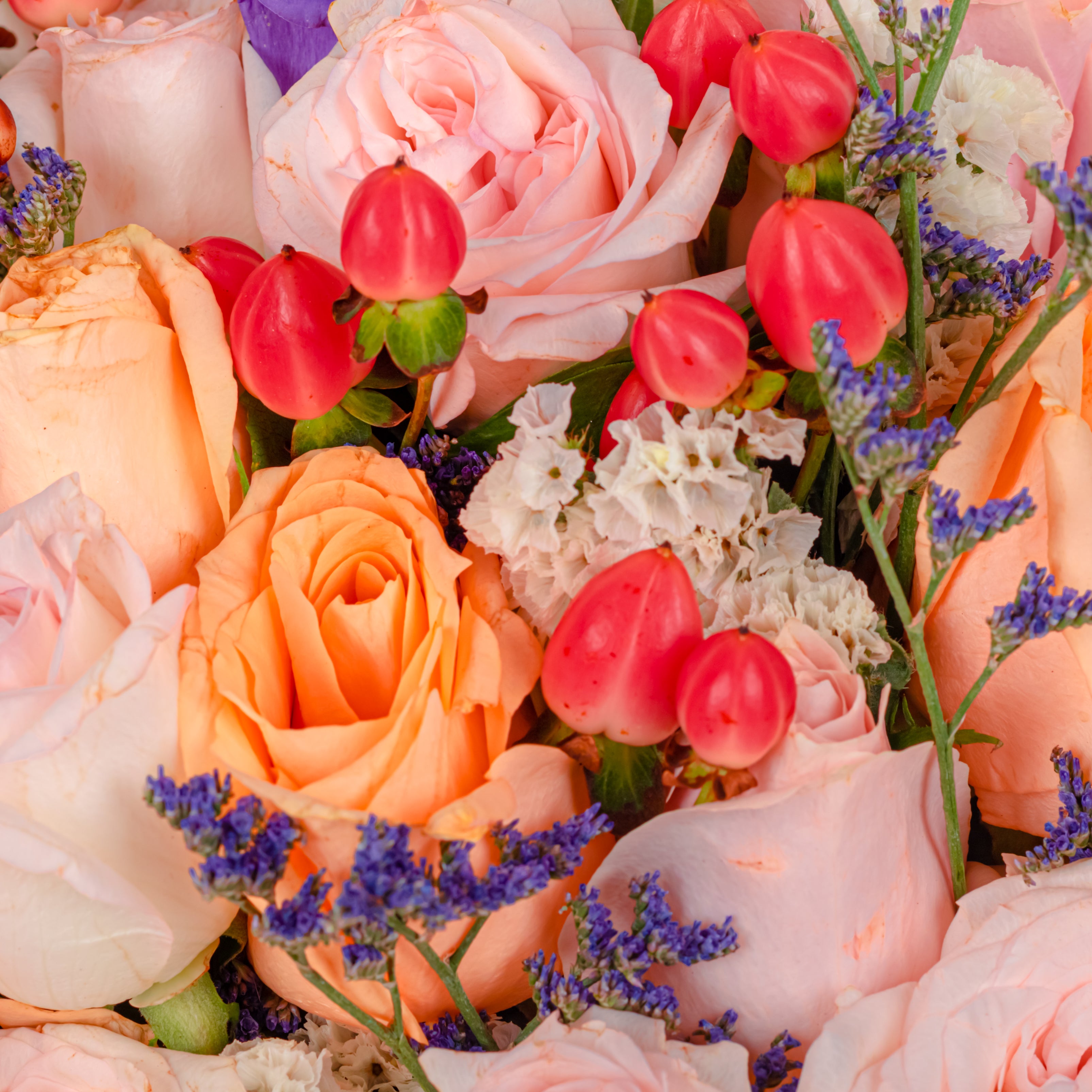 Pastel Reverence