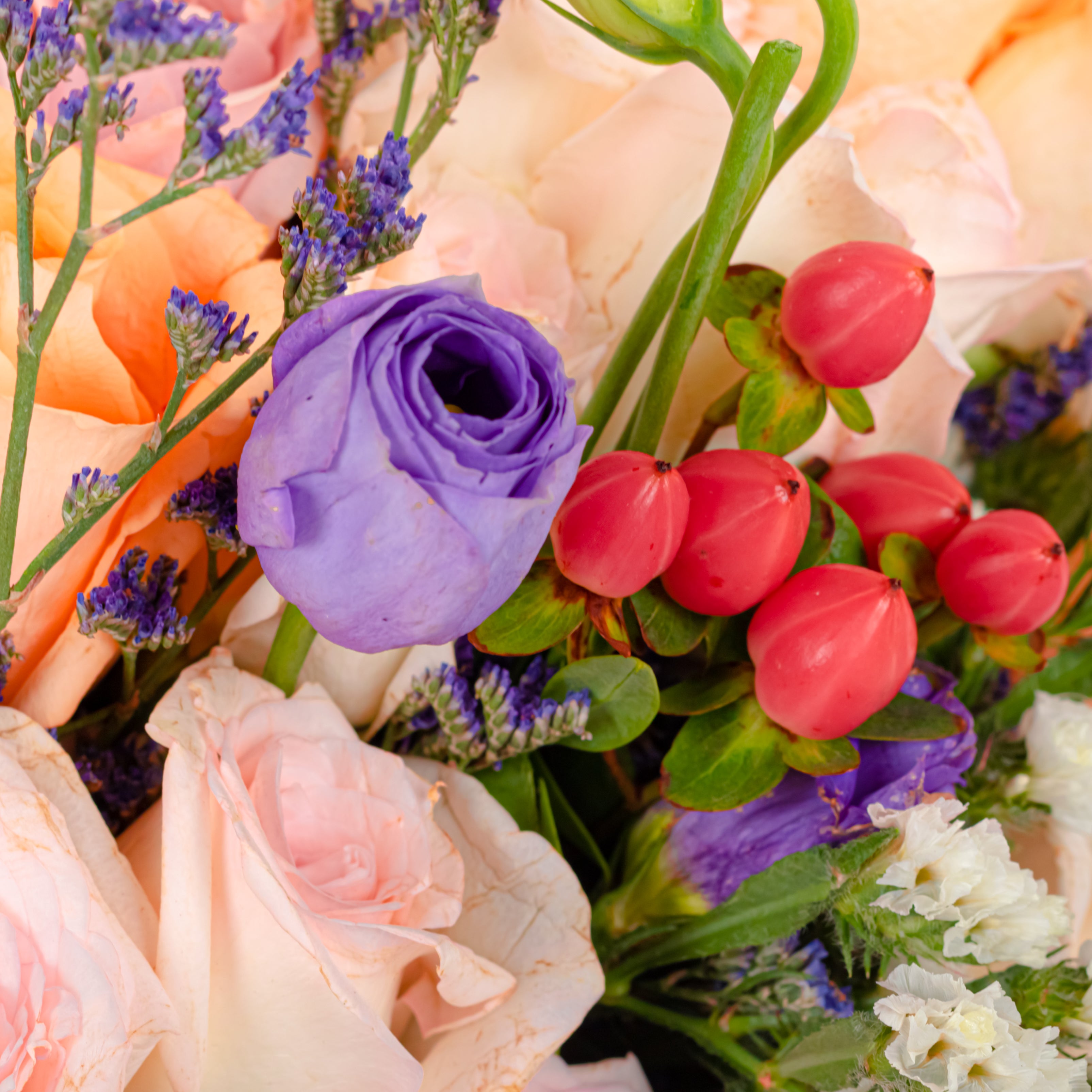 Pastel Reverence