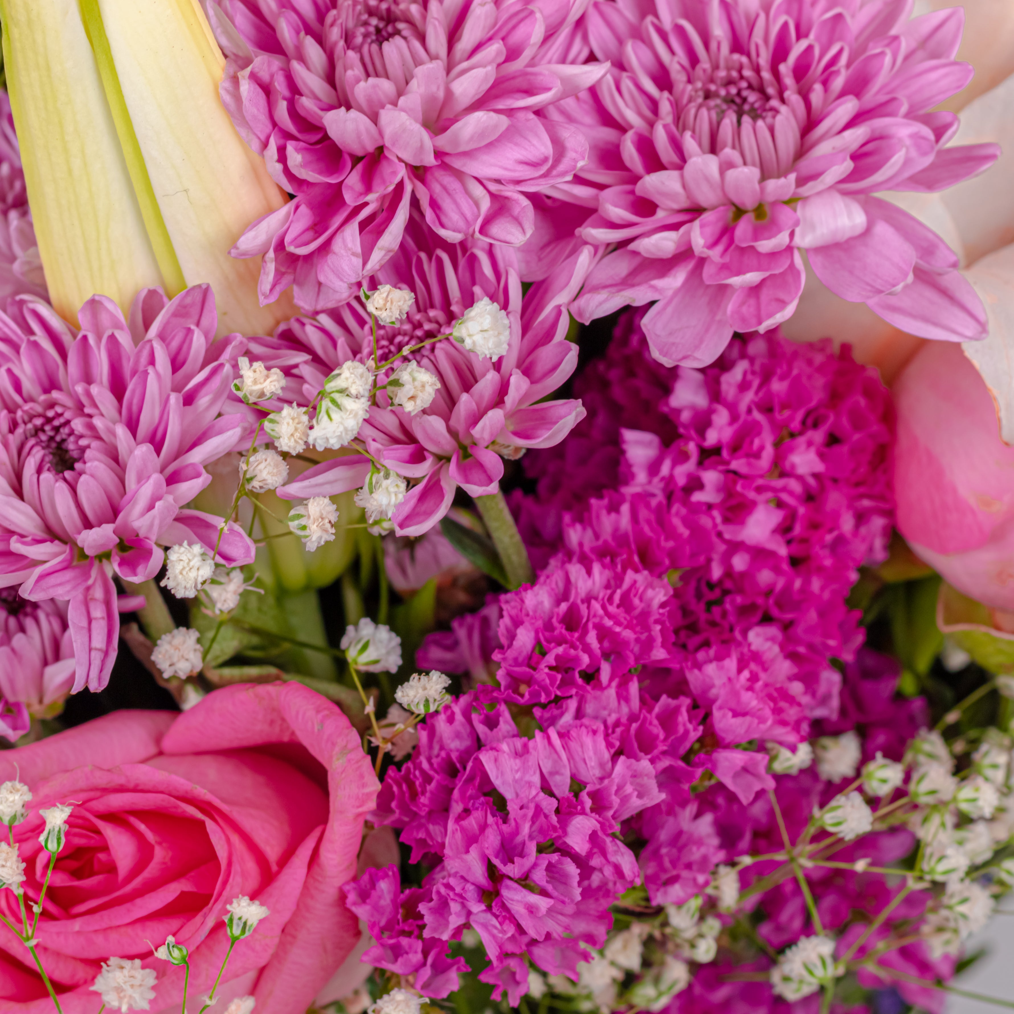 Blush of Affection: Mother's Day Special Bouquet with Scroll Message & Twin Chocolates