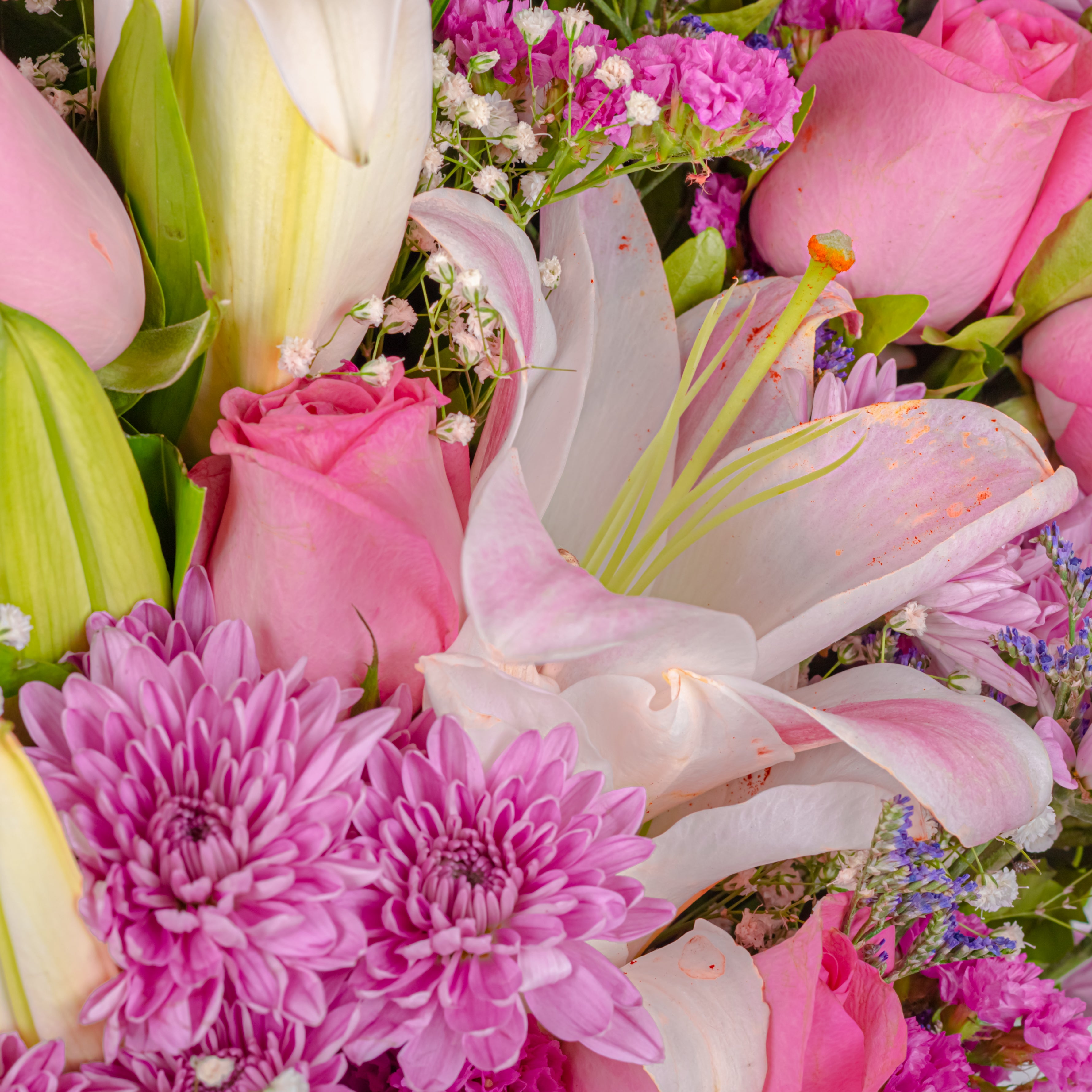 Blush of Affection: Mother's Day Special Bouquet with Scroll Message & Twin Chocolates