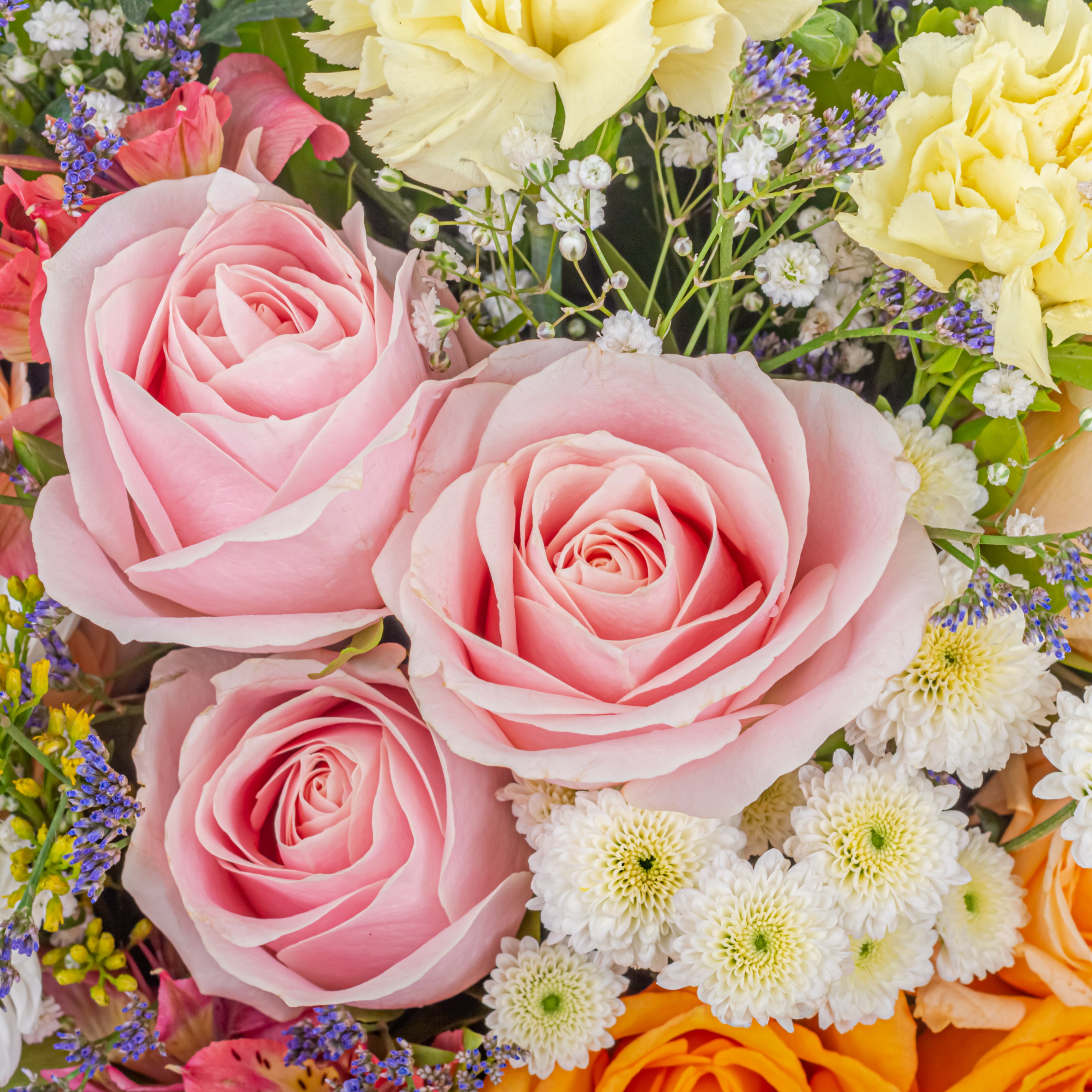 Fleur de Femme