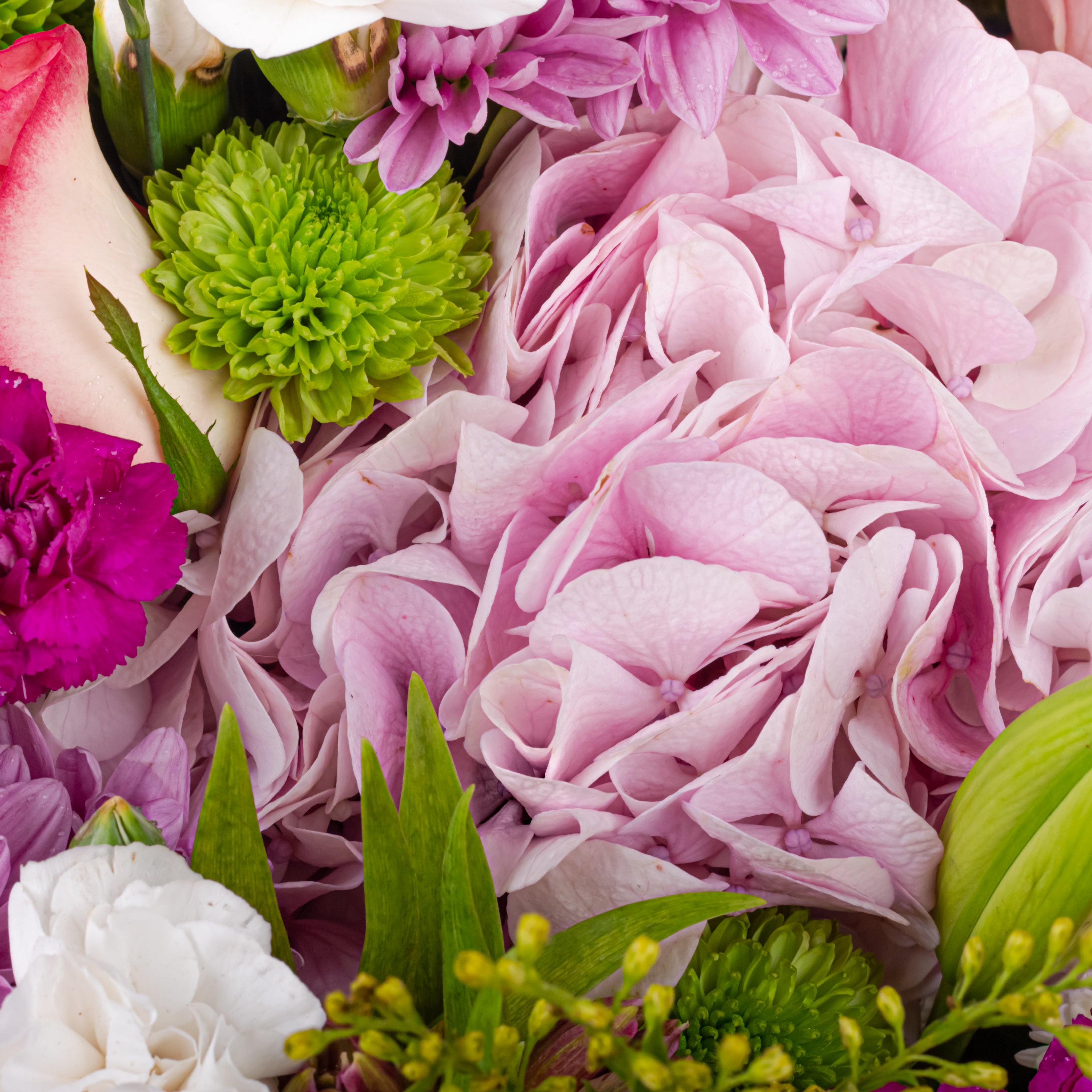 Blush Serenade: Women's Day Special Bouquet with Scroll Message & Twin Chocolates