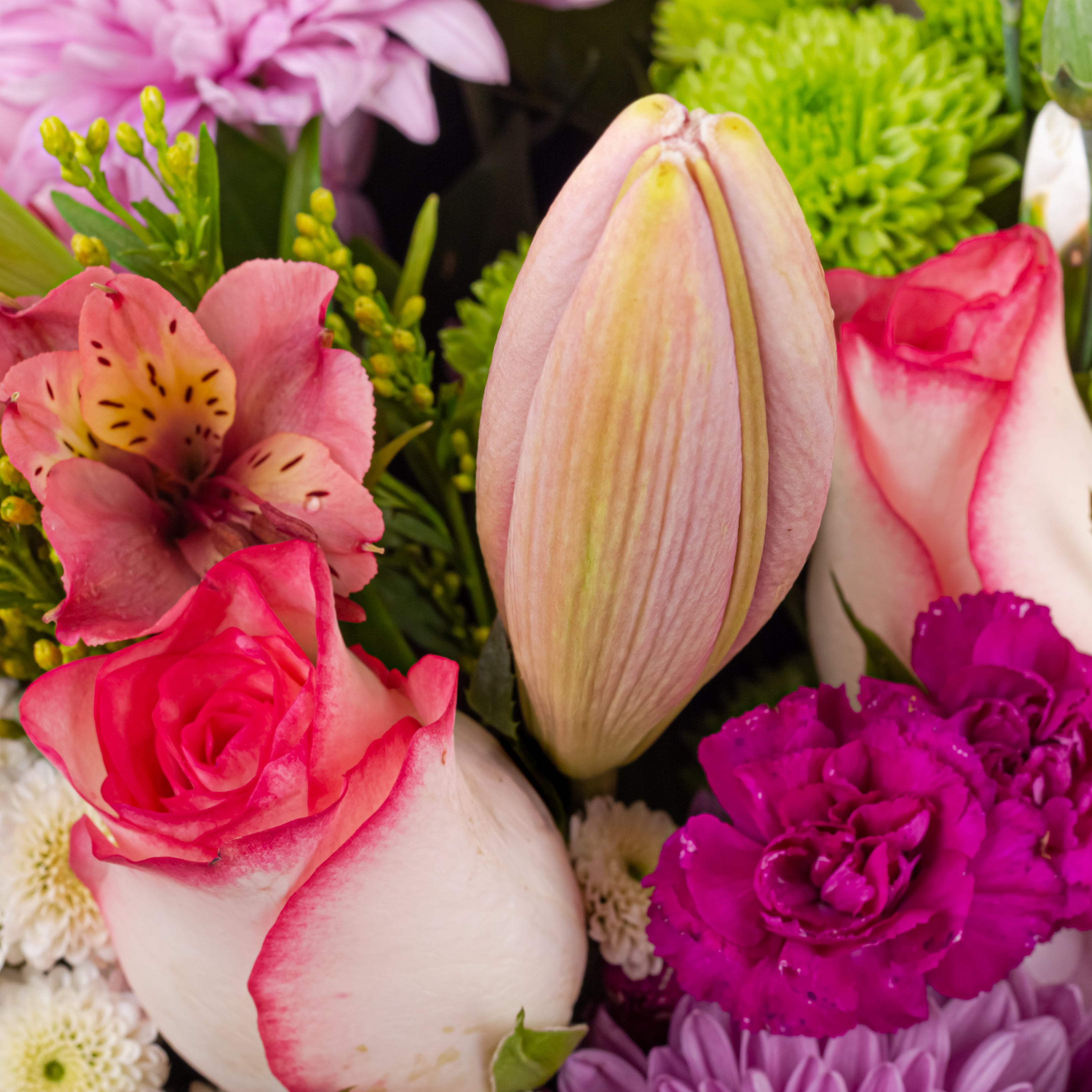 Blush Serenade: Women's Day Special Bouquet with Scroll Message & Twin Chocolates