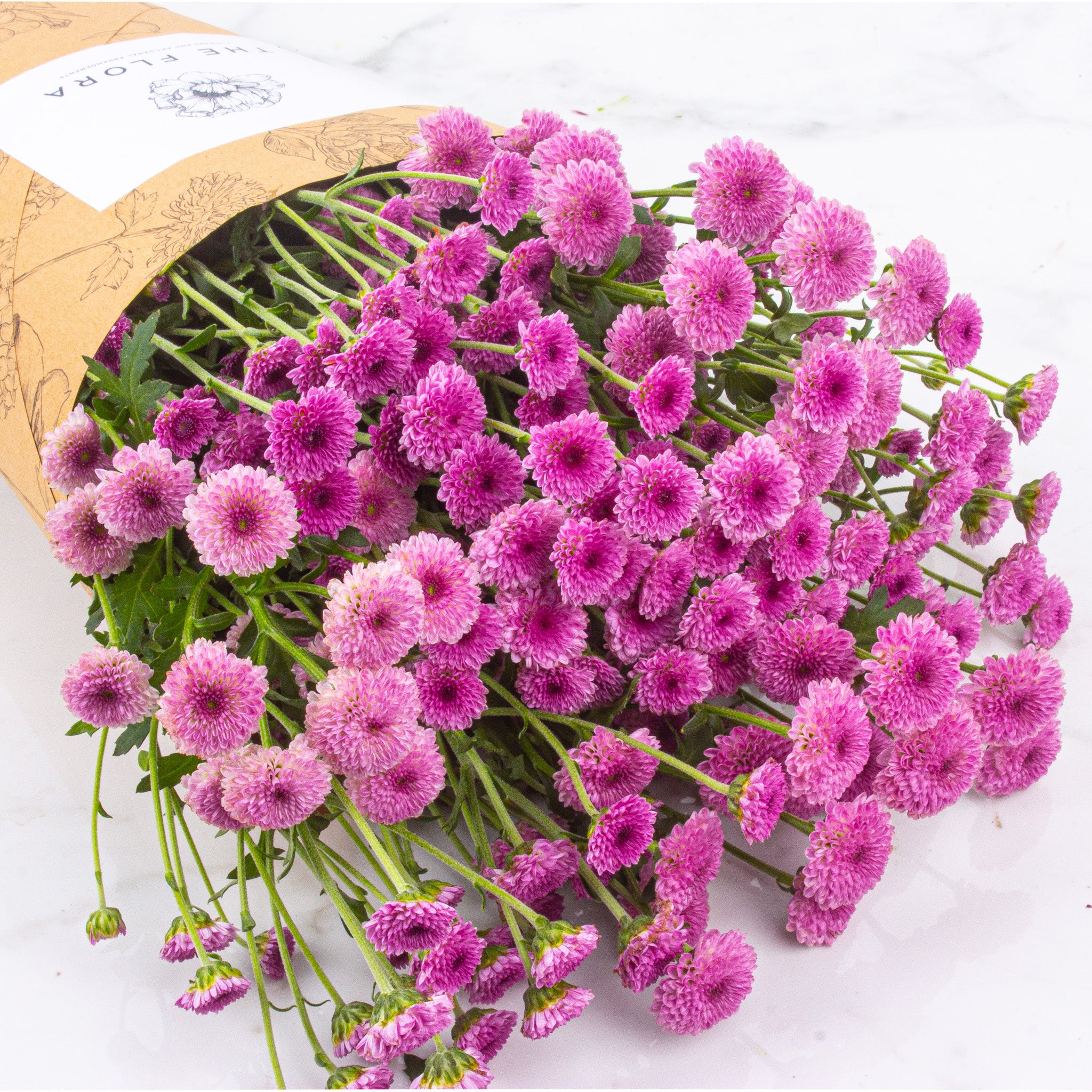Button Chrysanthemums