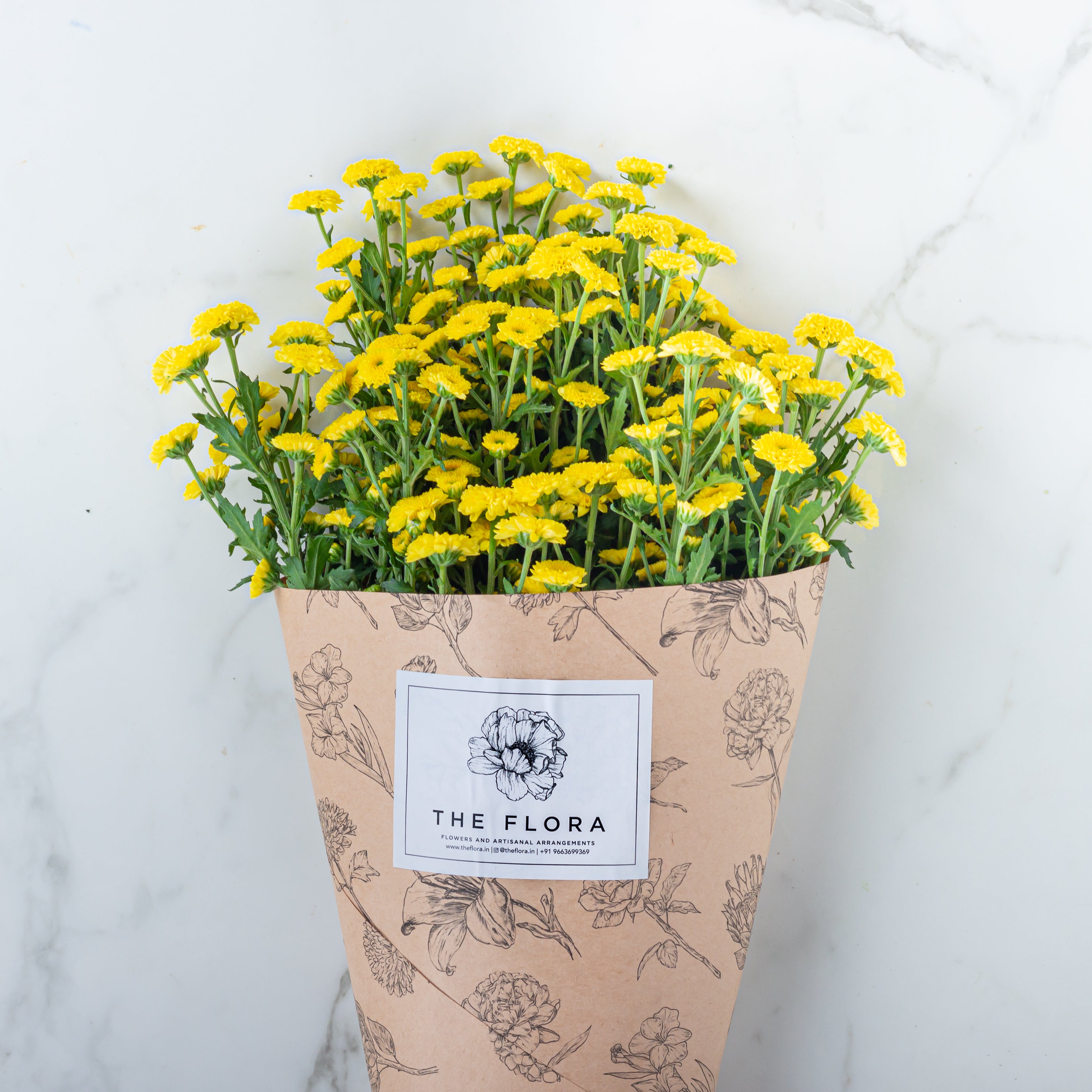 Button Chrysanthemums