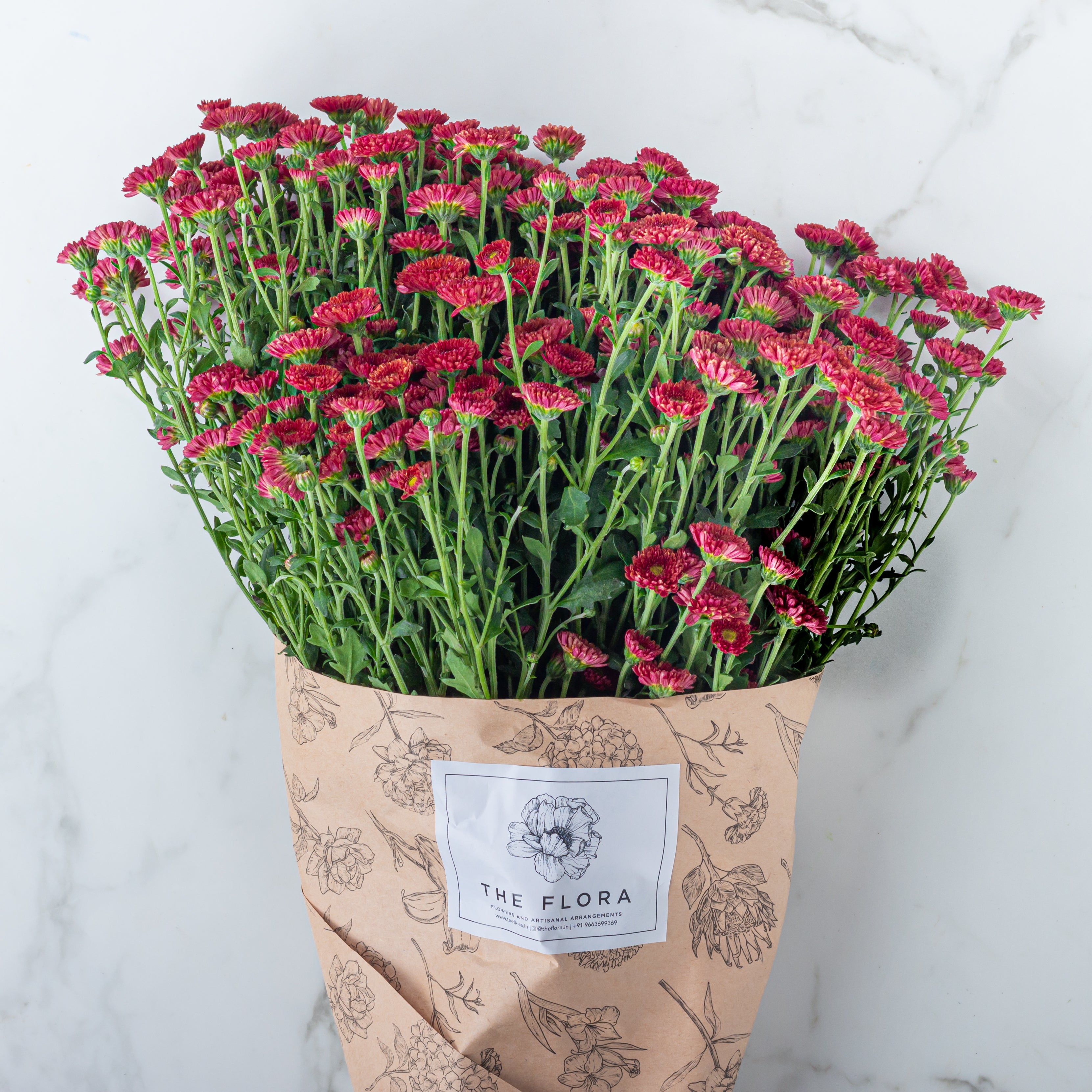 Button Chrysanthemums