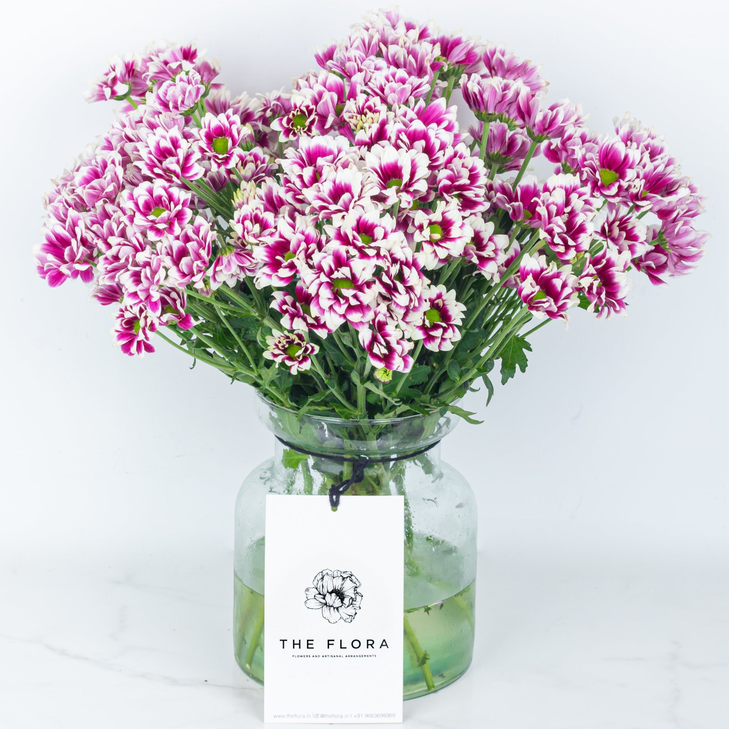 Bouquet of pink and white Santini Chrysanthemums in a glass vase with 'The Flora' label. Online cut flowers n sustainable packaging and same day delivery at www.theflora.in