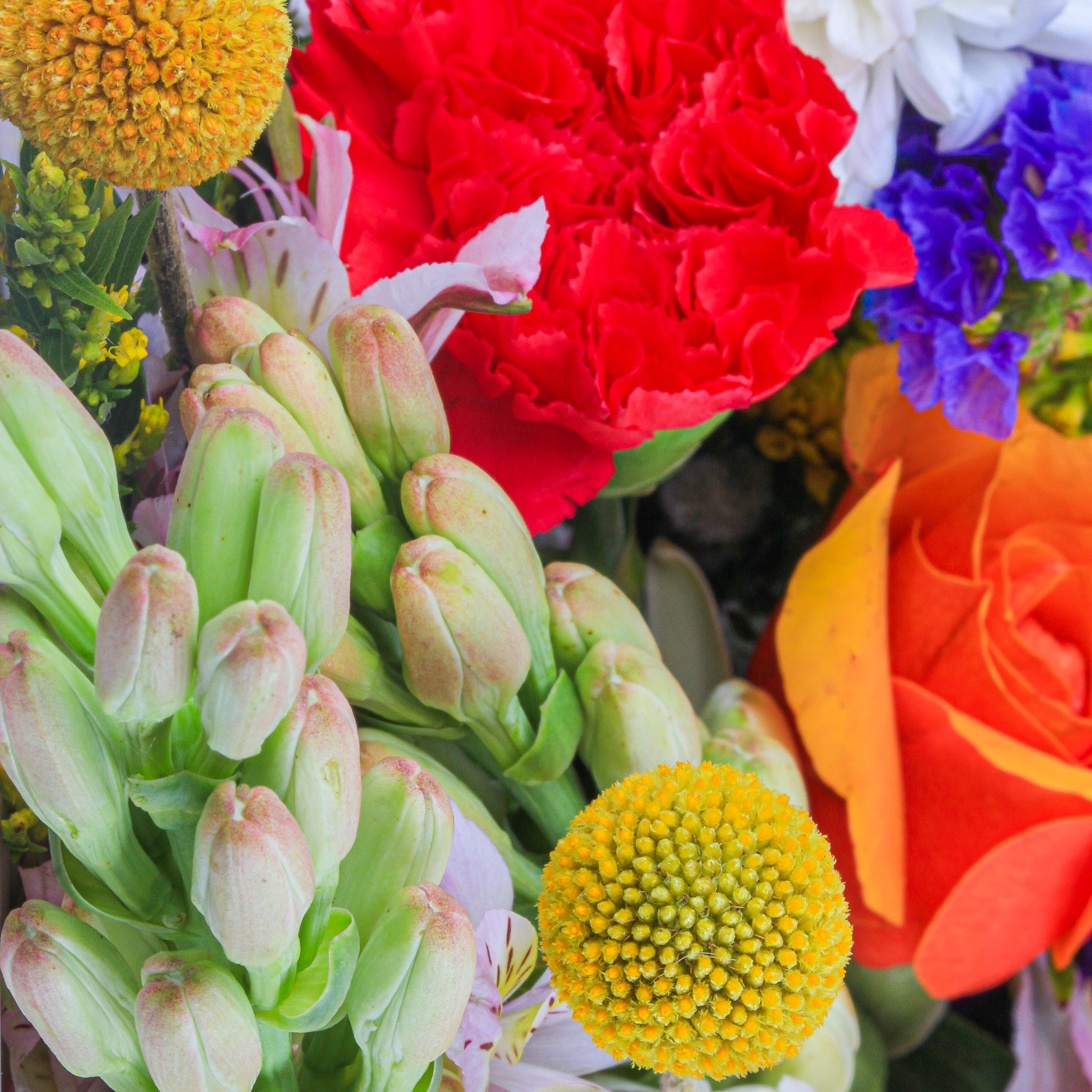 Assorted Bunch of Cut flowers