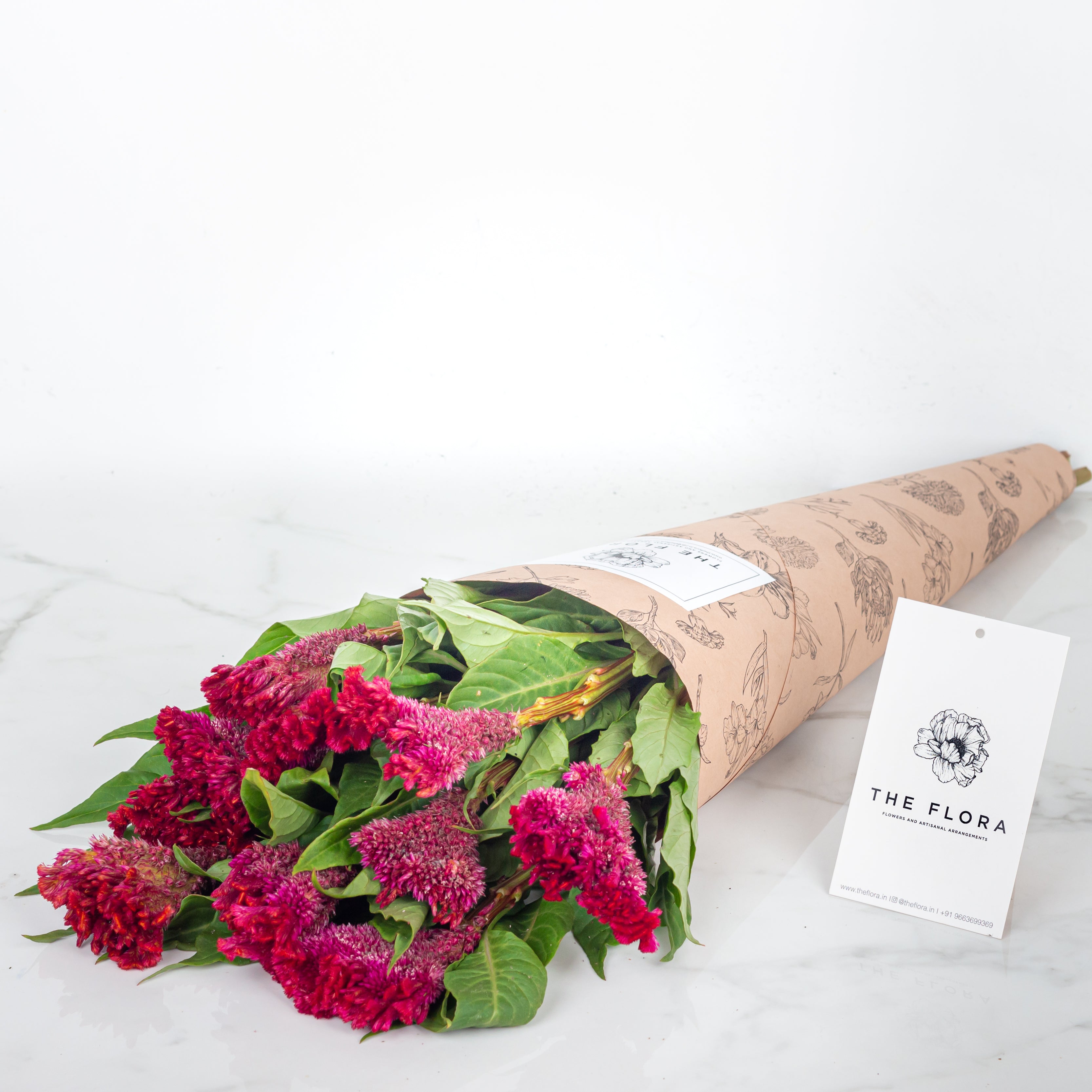 Celosia (Cockscomb)