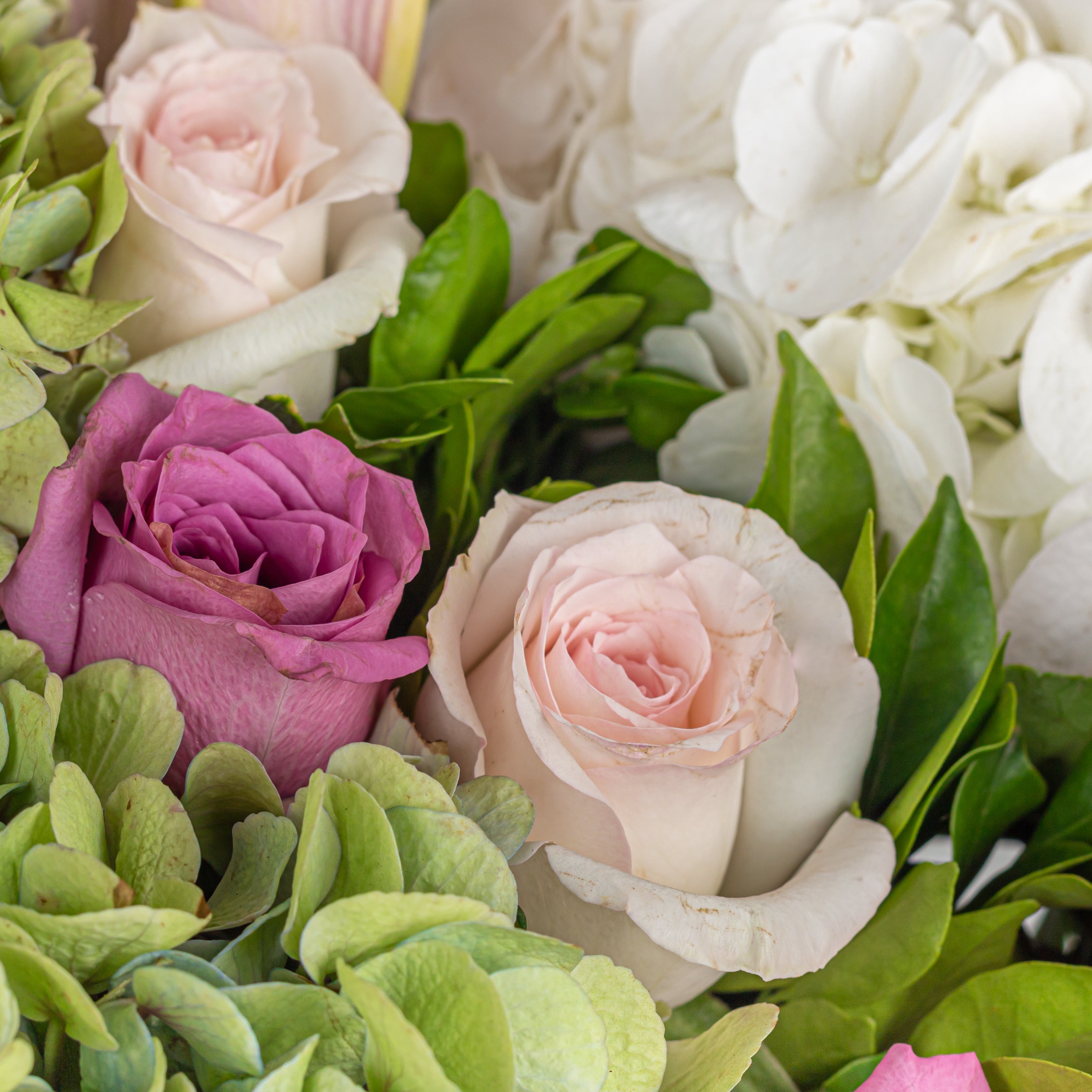 Close-up: "Fragrant oriental lilies red roses romantic hydrangea arrangement"