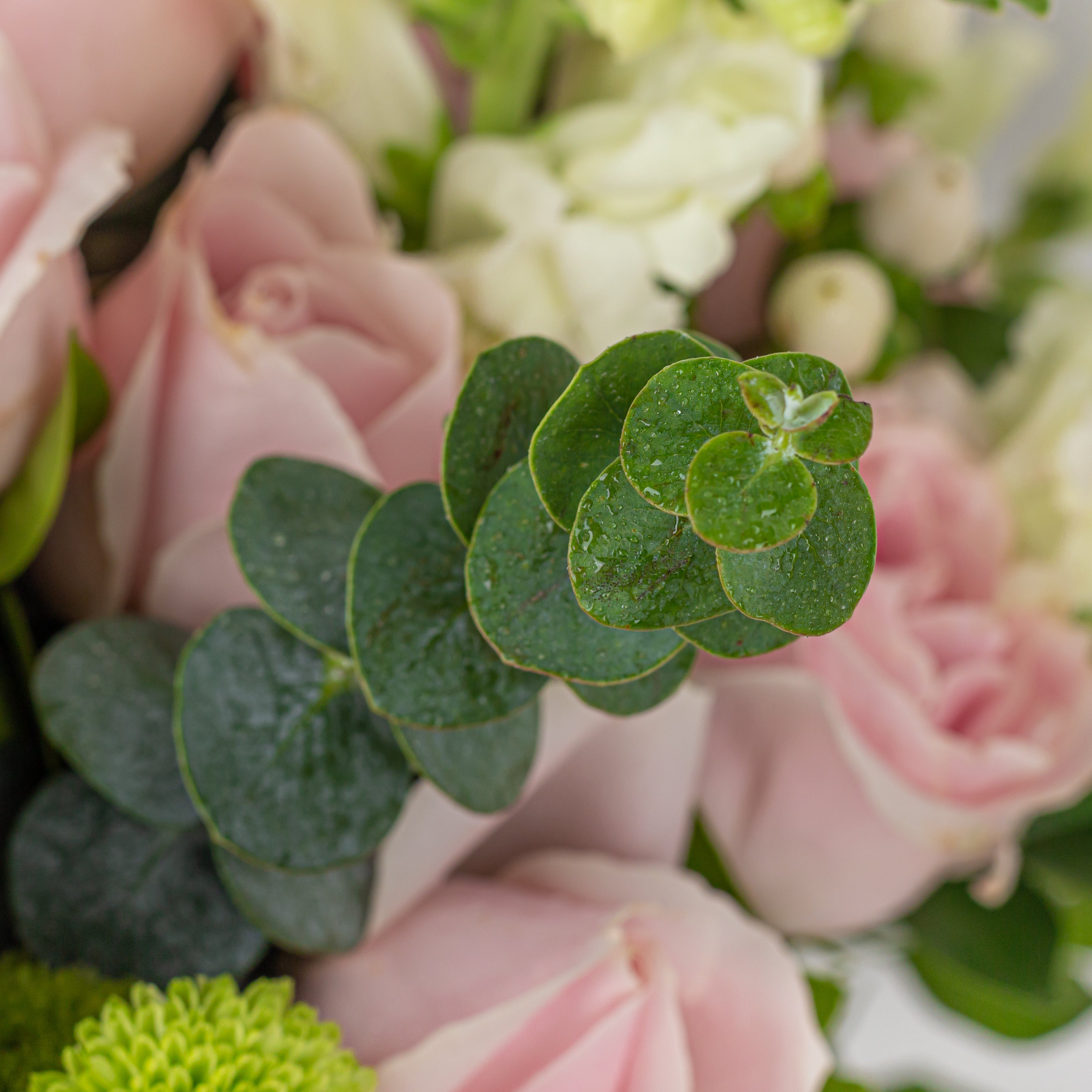 Eternal Whispers - Flower Arrangement - Bangalore - The Flora