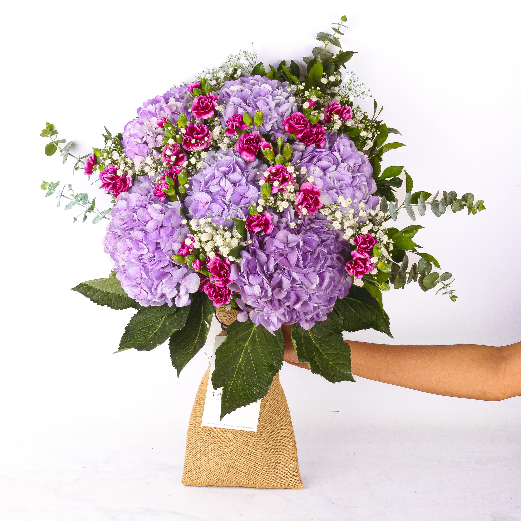 Velvety Violet