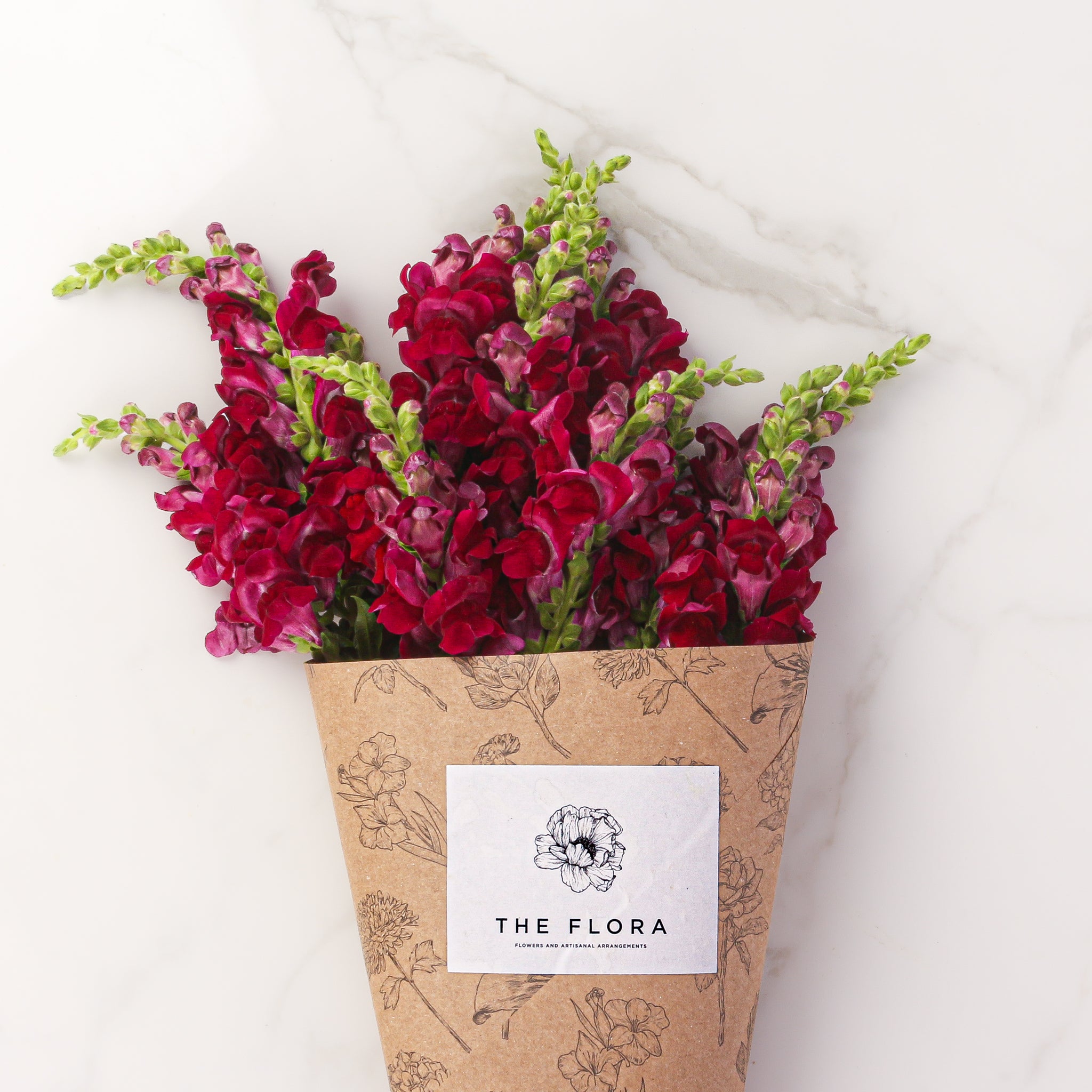 Snapdragon