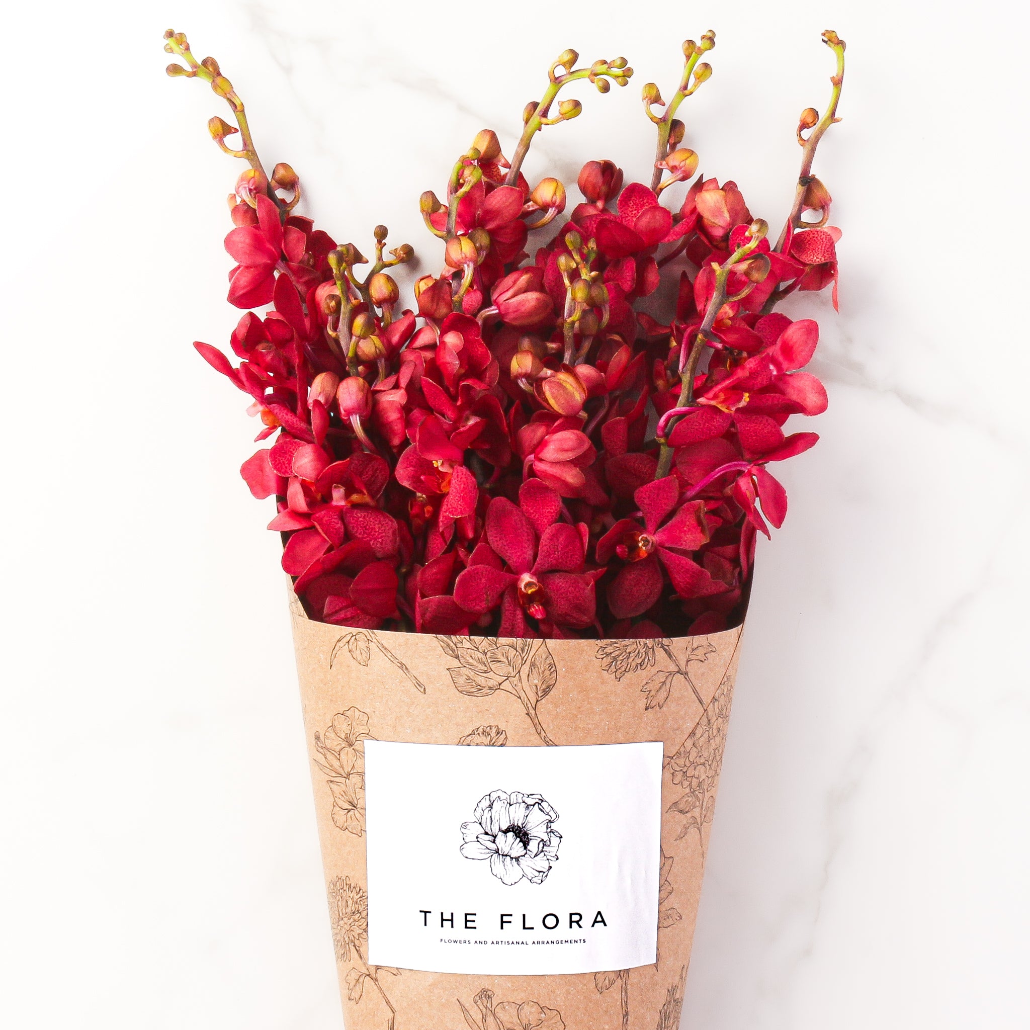 Mokara Orchids