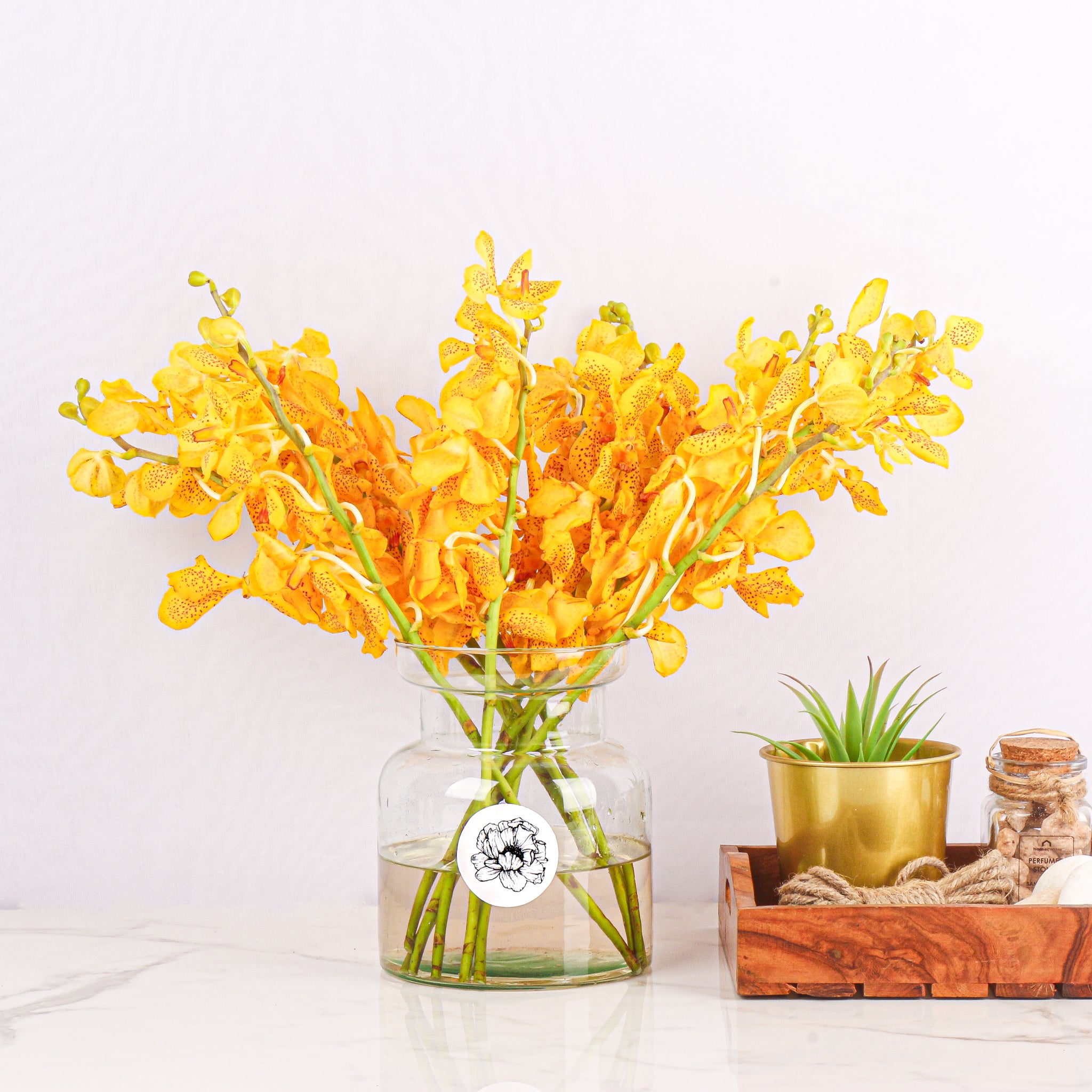 Mokara Orchids
