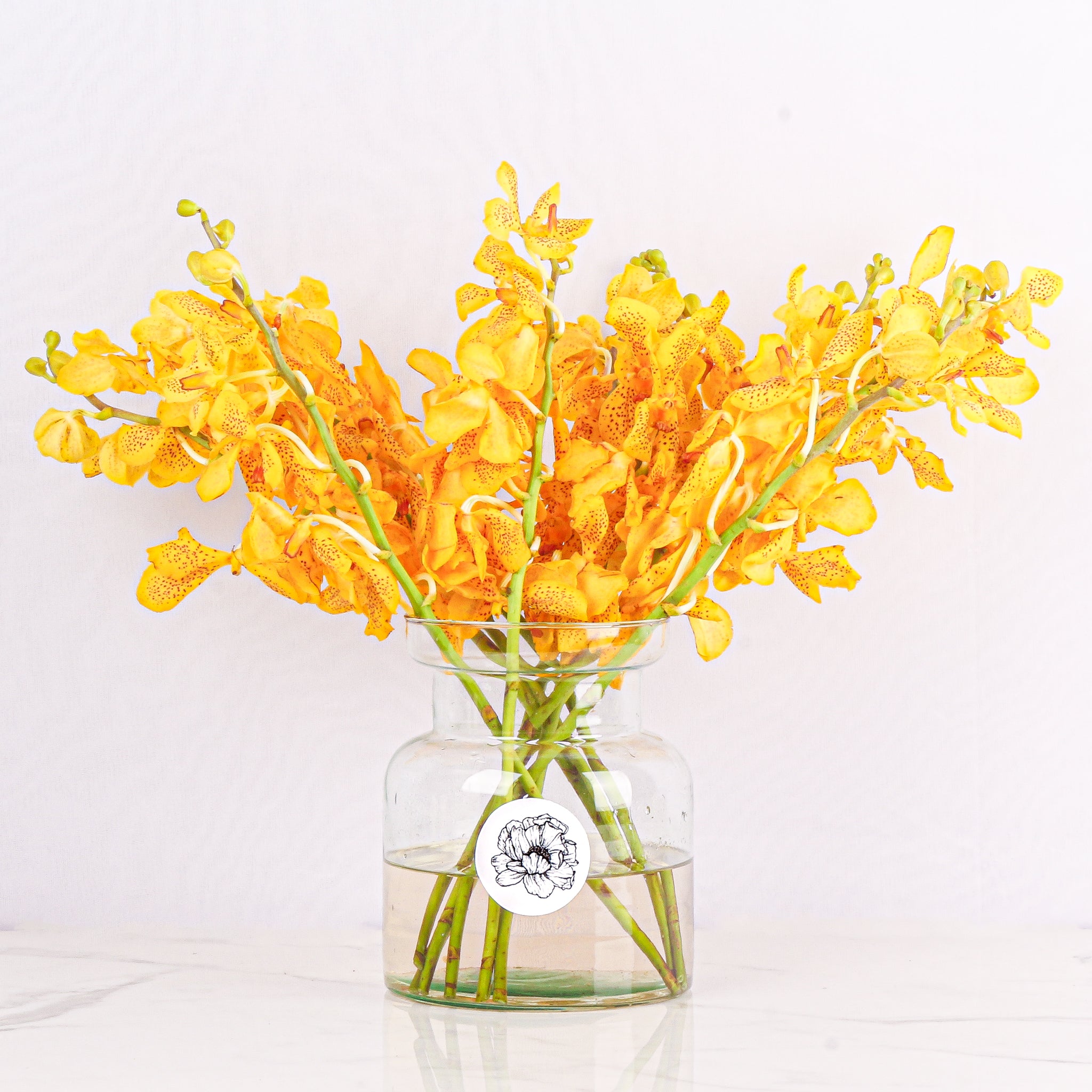 Mokara Orchids