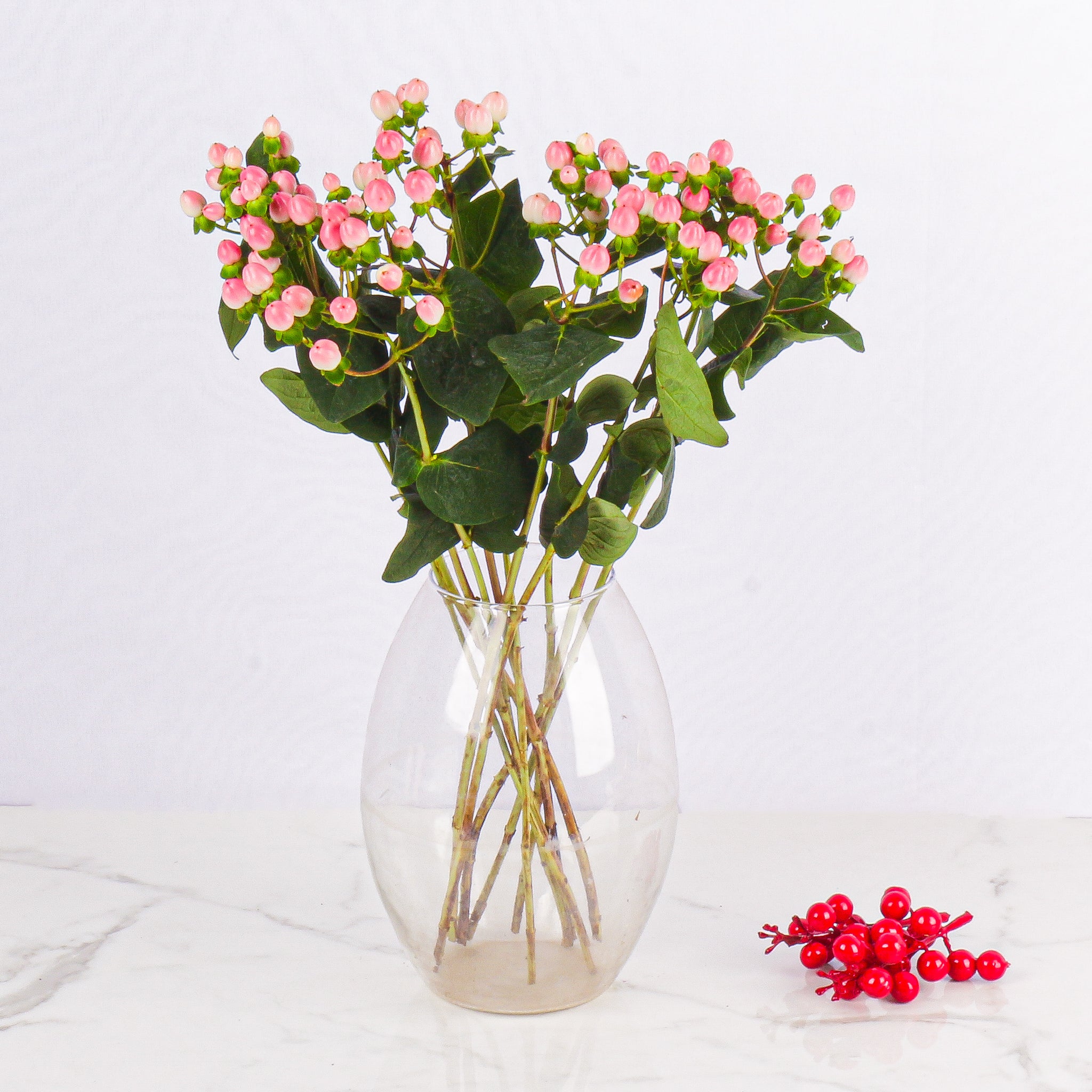 Hypericum Berries