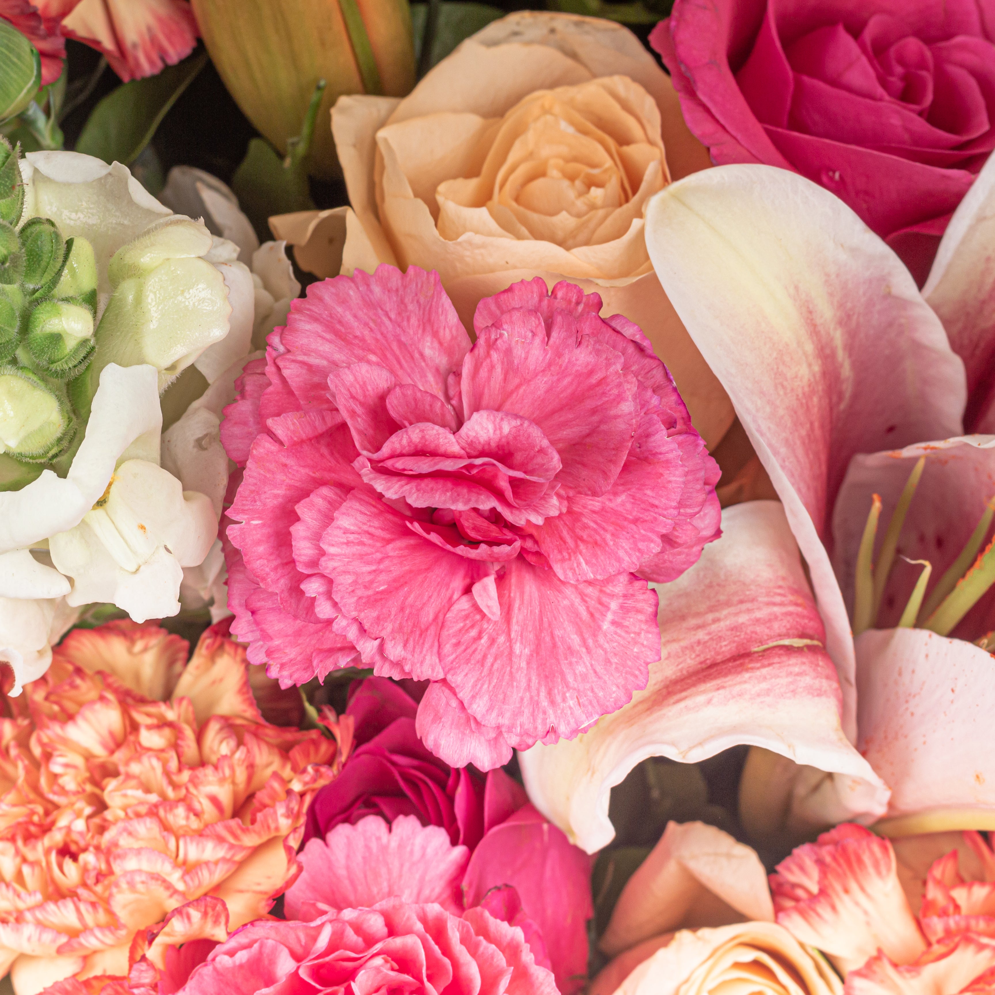 Joyful Blooms