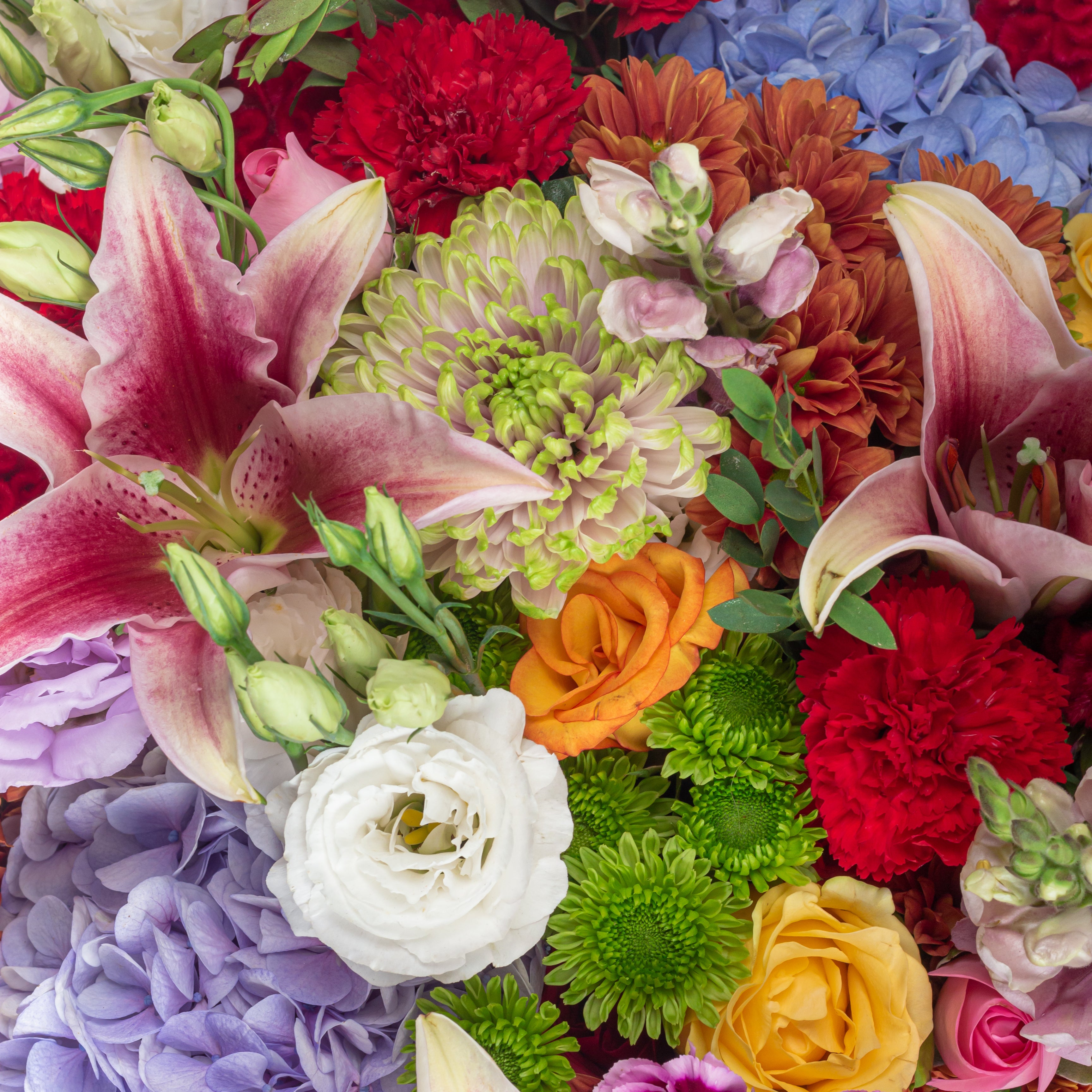 Colourful Burst