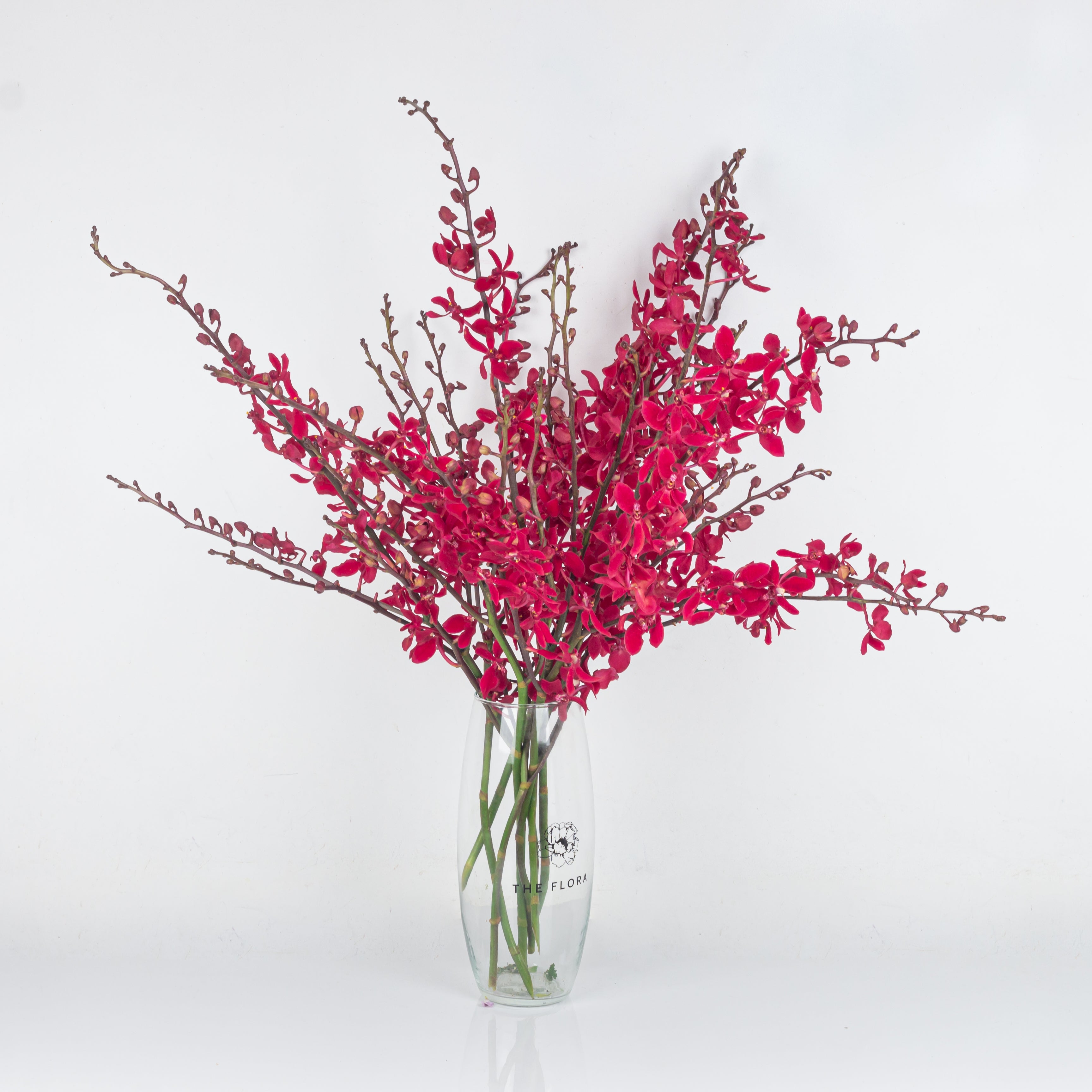 Subscribe to Cut Flowers - Luxury//version1 bangalore