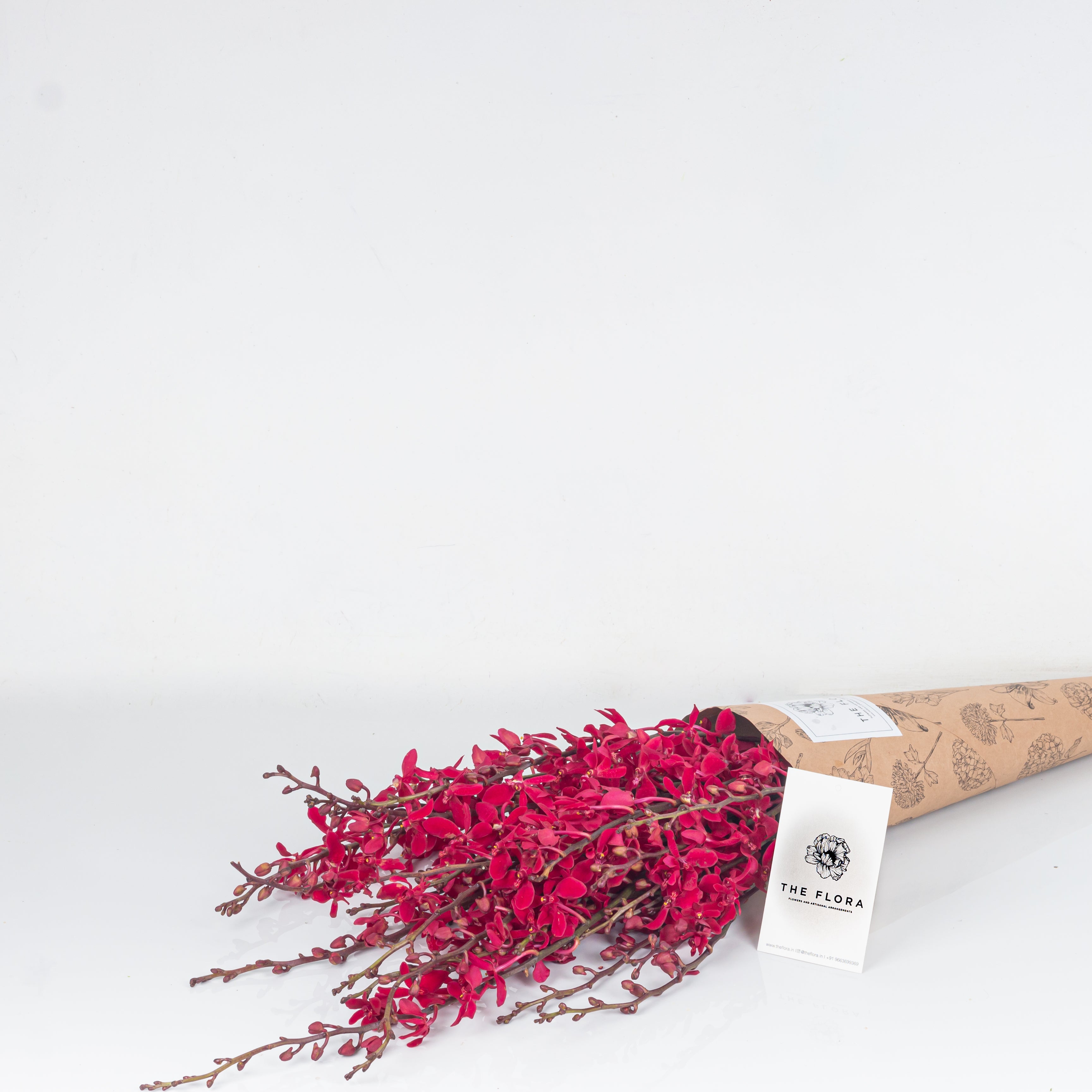 Subscribe to Cut Flowers - Luxury//version1 bangalore