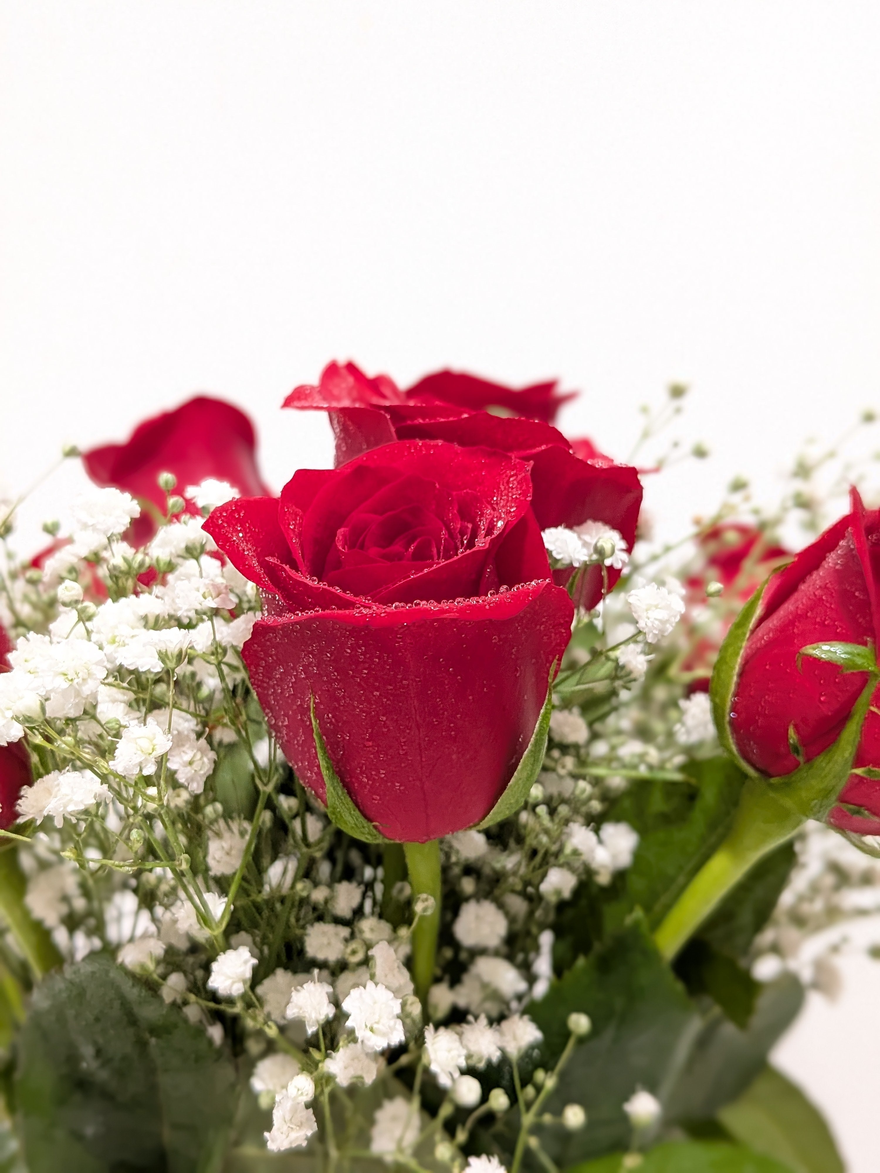 Dozen Roses - Flower Arrangement - Bangalore - The Flora