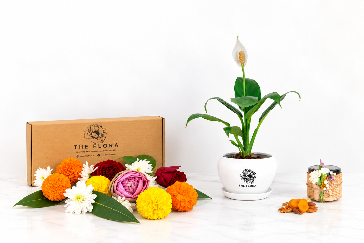 Festive Calm (Peace Lily with Puja flowers, Dried Apricots & Pecan nuts)