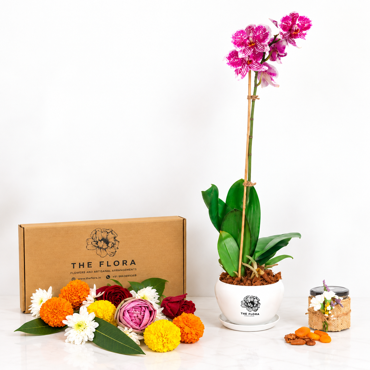 Potted Radiance (Orchids with Puja flowers, Dried Apricots & Pecan nuts)
