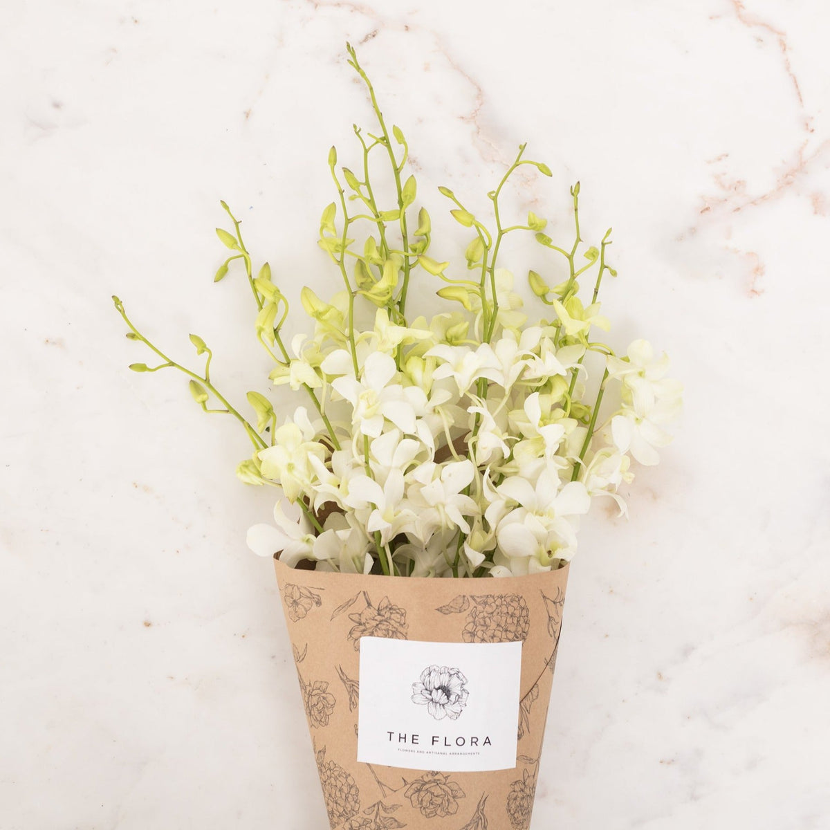 Orchids - Order Flowers Online In Delhi - Same Day Delivery