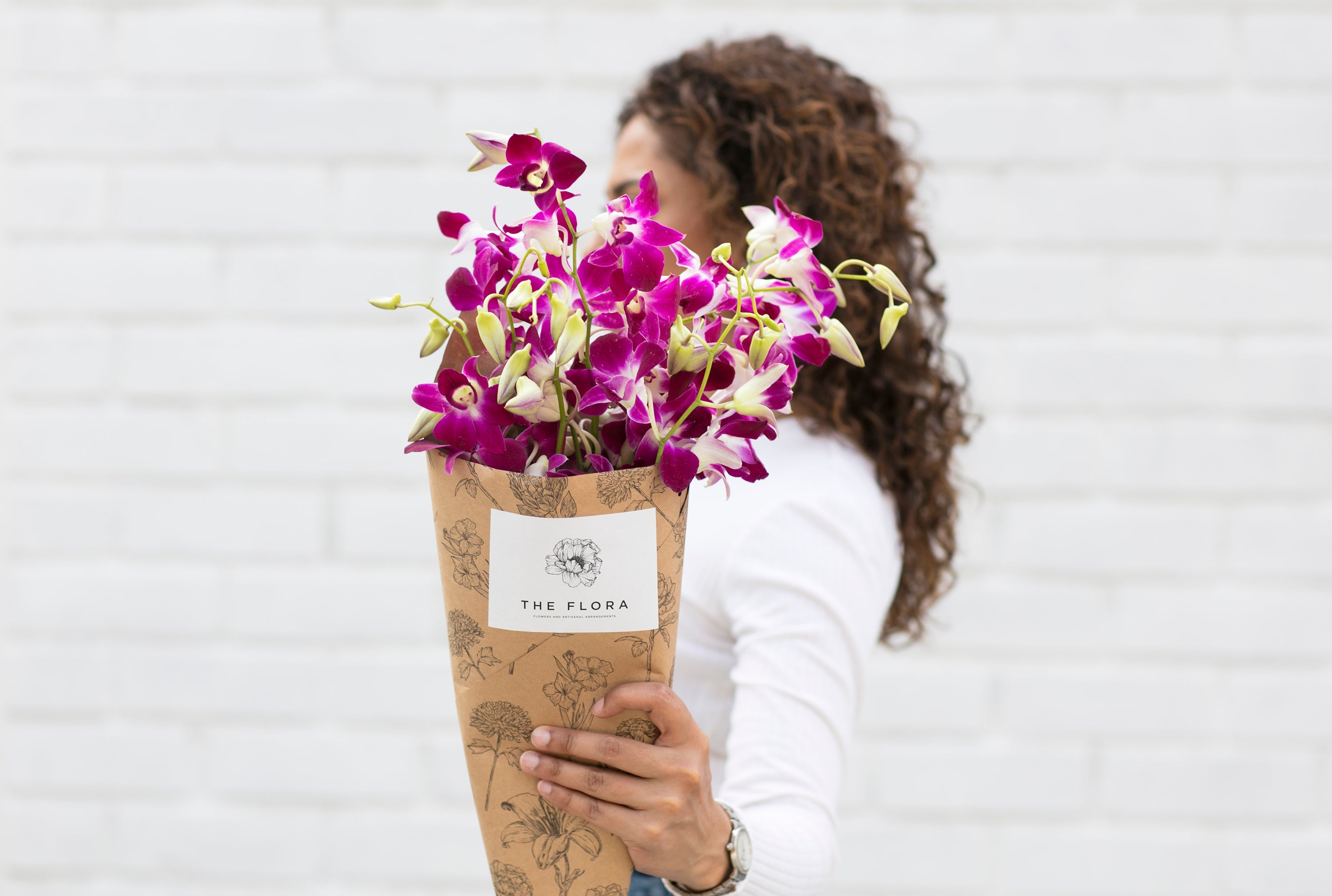 Dendrobium Orchids //Delhi