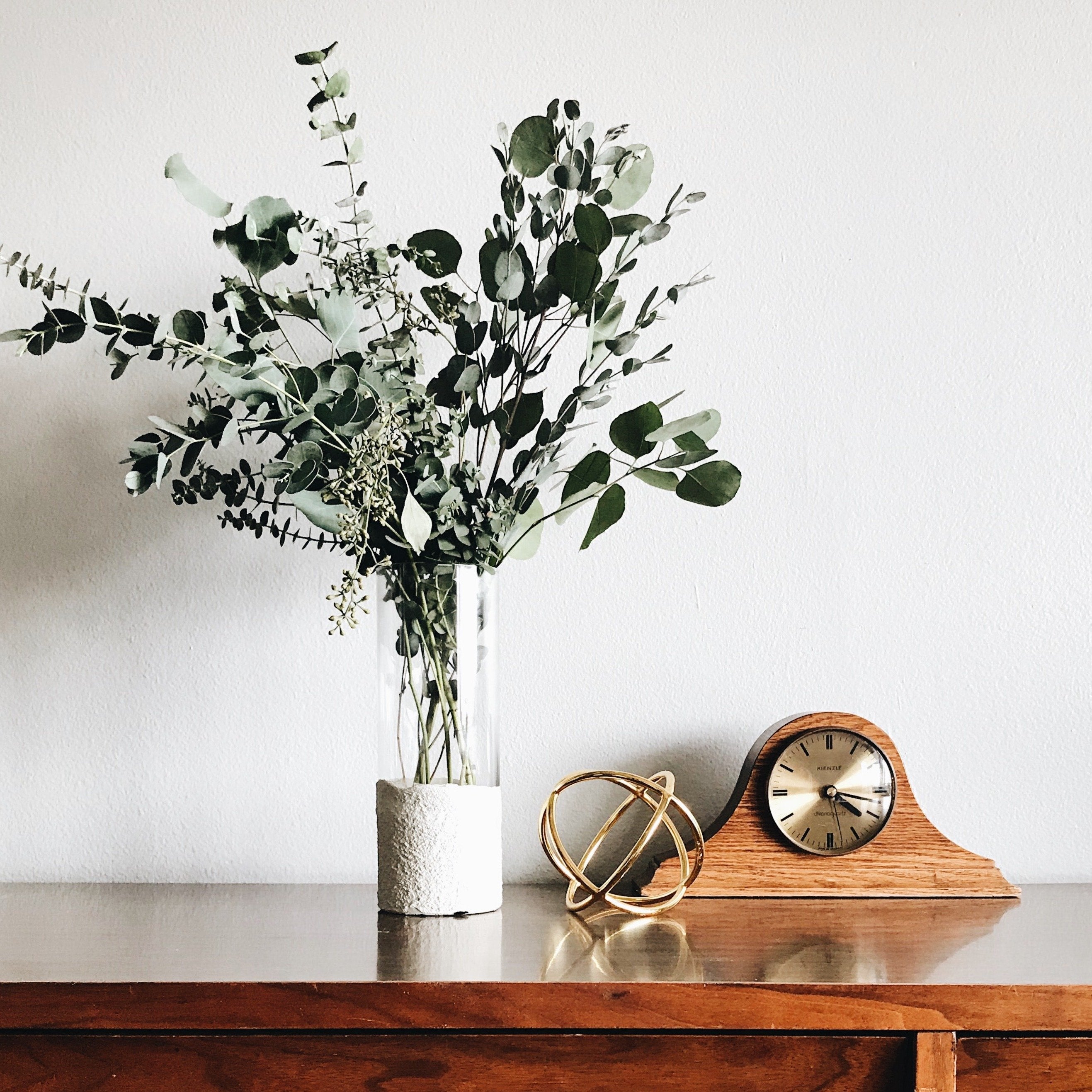 Eucalyptus //Bangalore