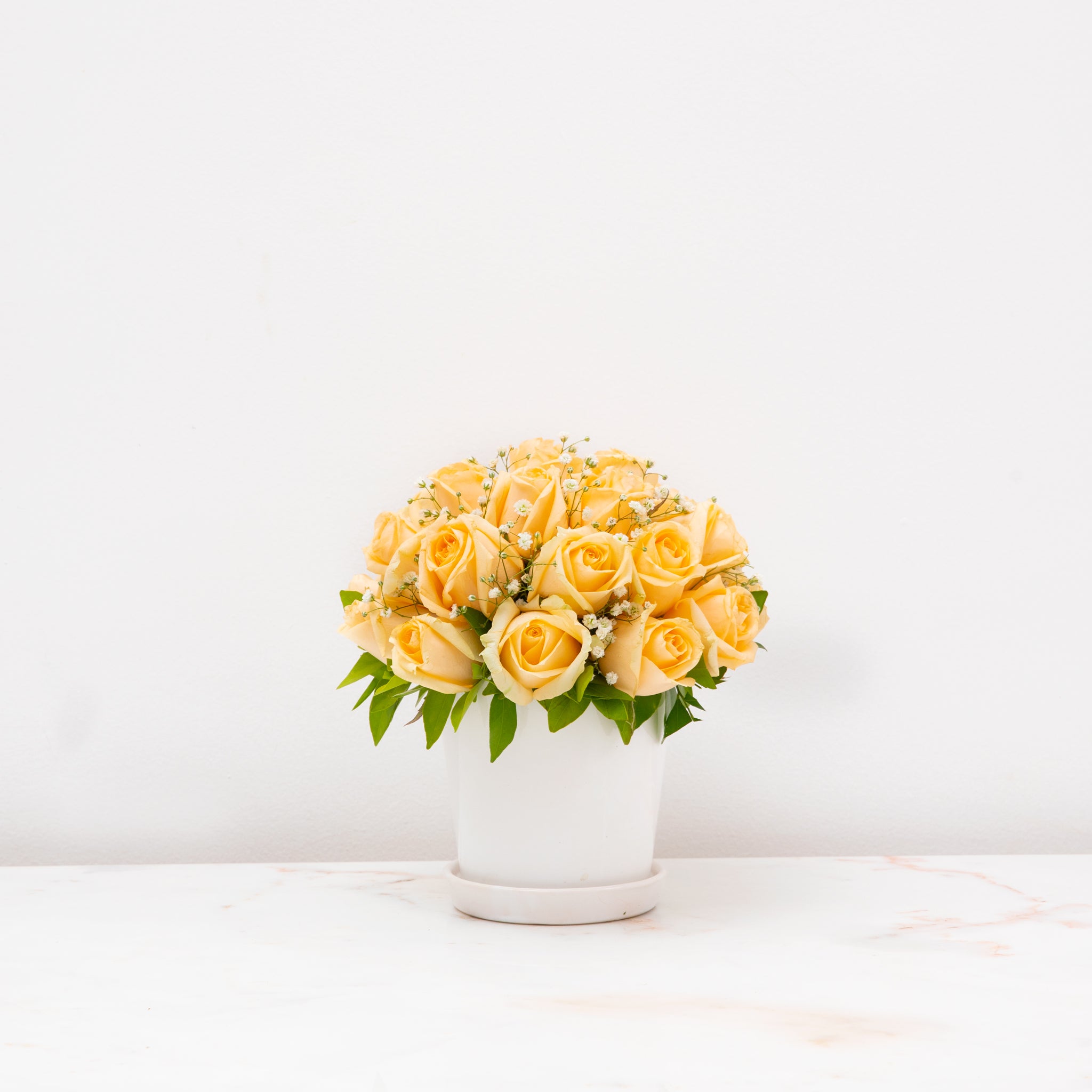 Kiss from a Rose //Banglaore